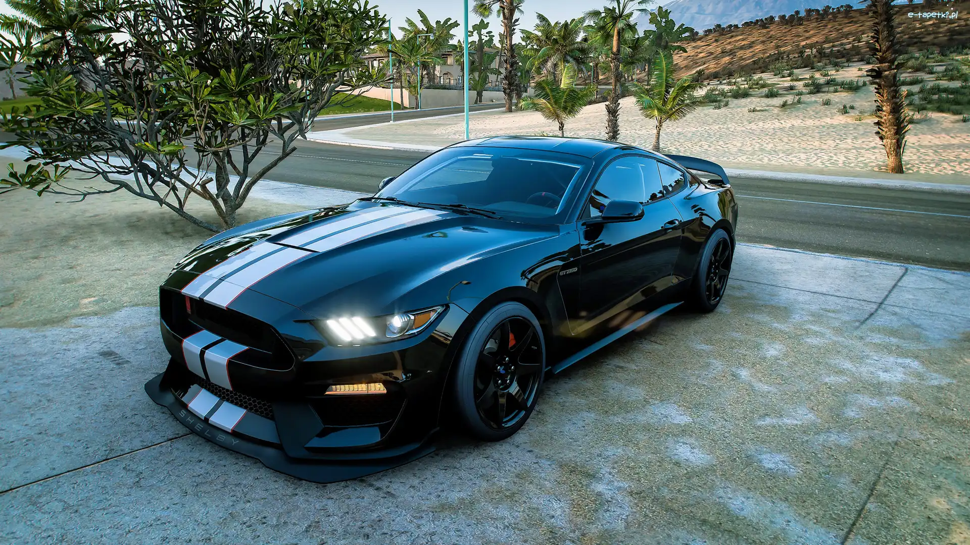 Forza Horizon 5, Shelby, Ford, Gra