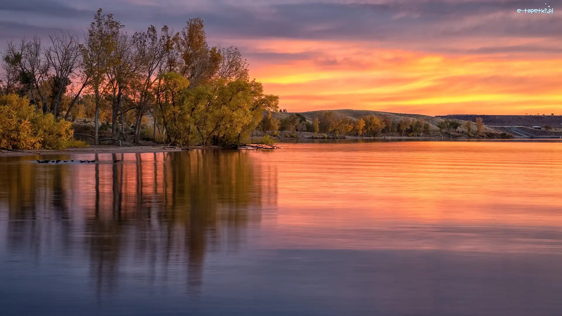 Stany Zjednoczone, Jezioro, Lake Chatfield, Drzewa, Wschód słońca, Kolorado, Park stanowy Chatfield