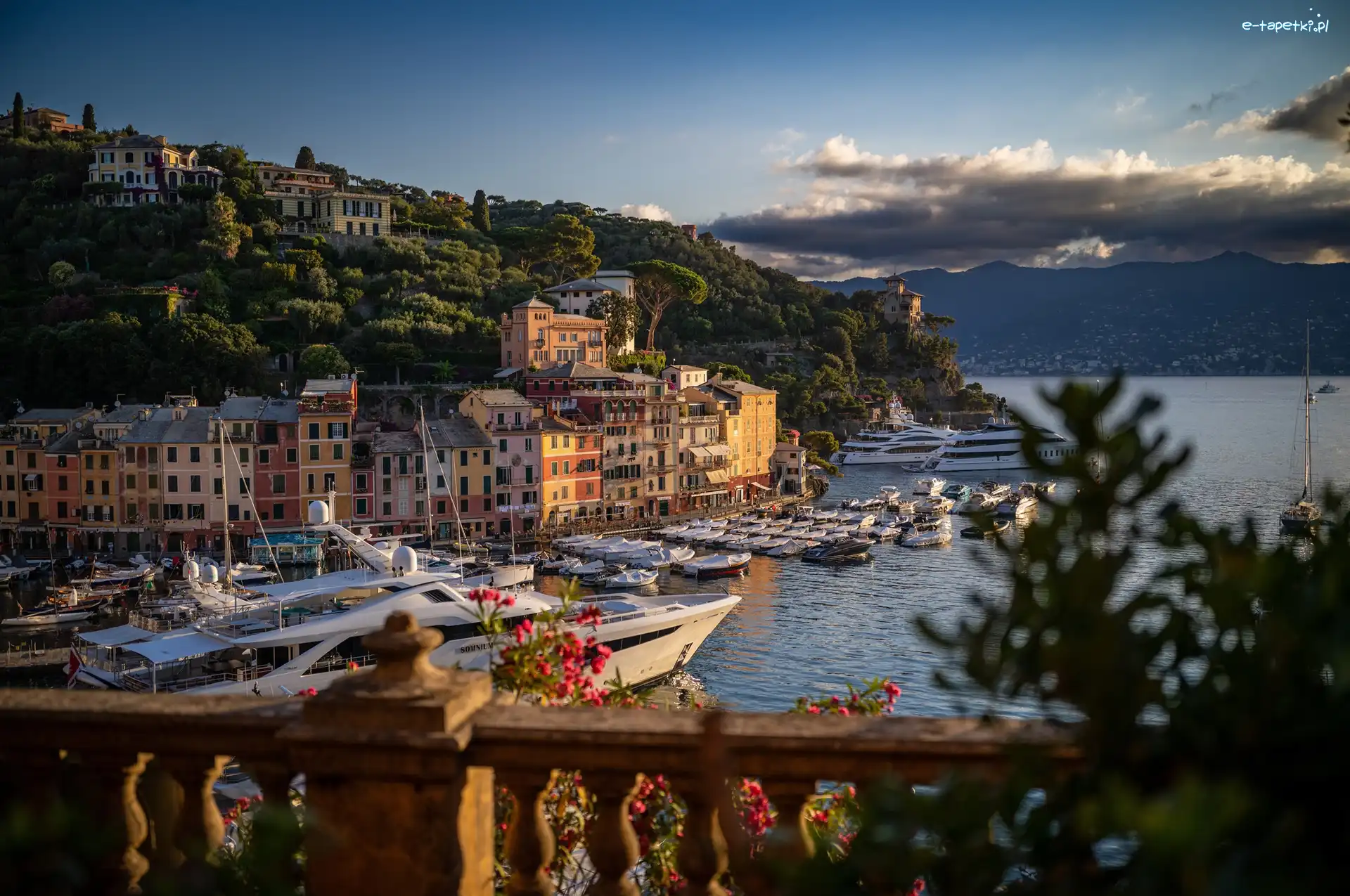Portofino, Motorówki, Port, Włochy, Jachty, Domy