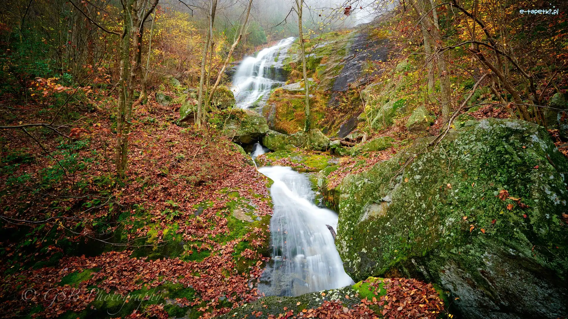 Stany Zjednoczone, Drzewa, Wodospad, Skarpa, Skały, Stan Wirginia, Crabtree Falls