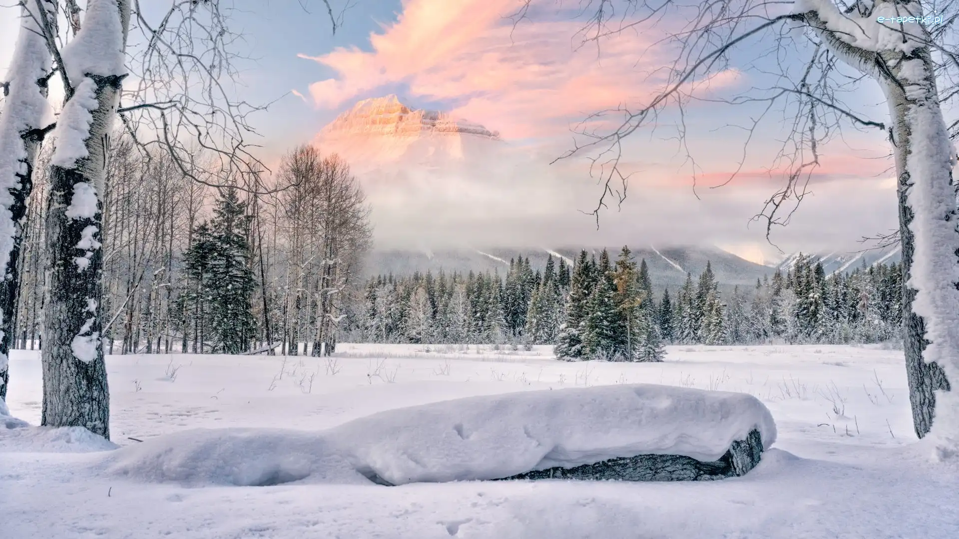 Góra, Kanada, Pilot Mountain, Park Narodowy Banff, Chmury, Zima, Mgła, Drzewa, Góry, Alberta, Mgła