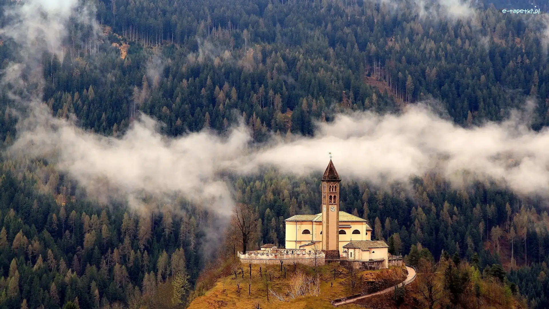 Castello Molina di Fiemme, Las, Mgła, Włochy, Kościół, Wzgórze