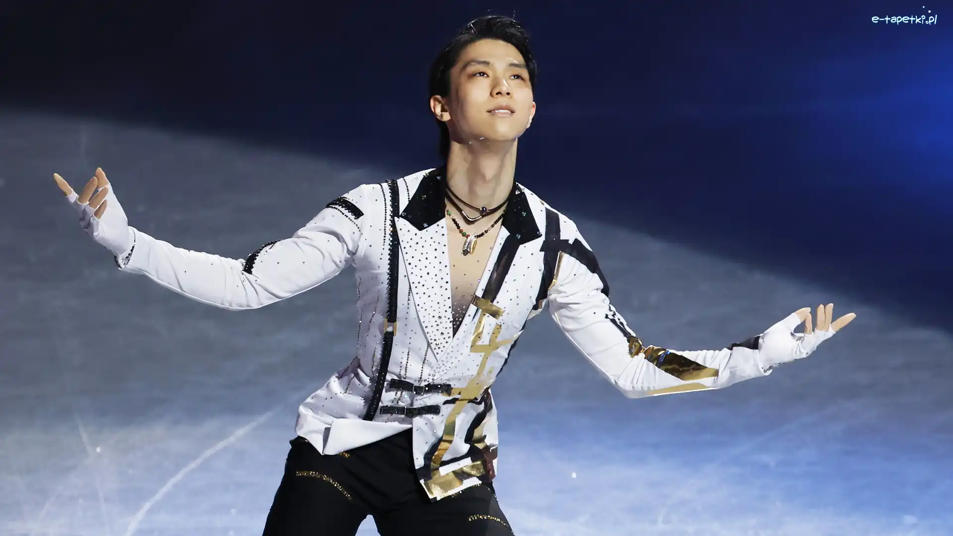 Yuzuru Hanyu, Sportowiec, Łyżwiarz figurowy, Łyżwiarstwo