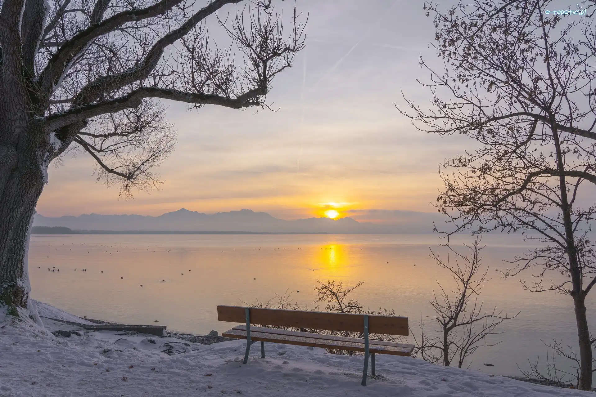 Zima, Jezioro, Ławka, Zachód słońca, Drzewo