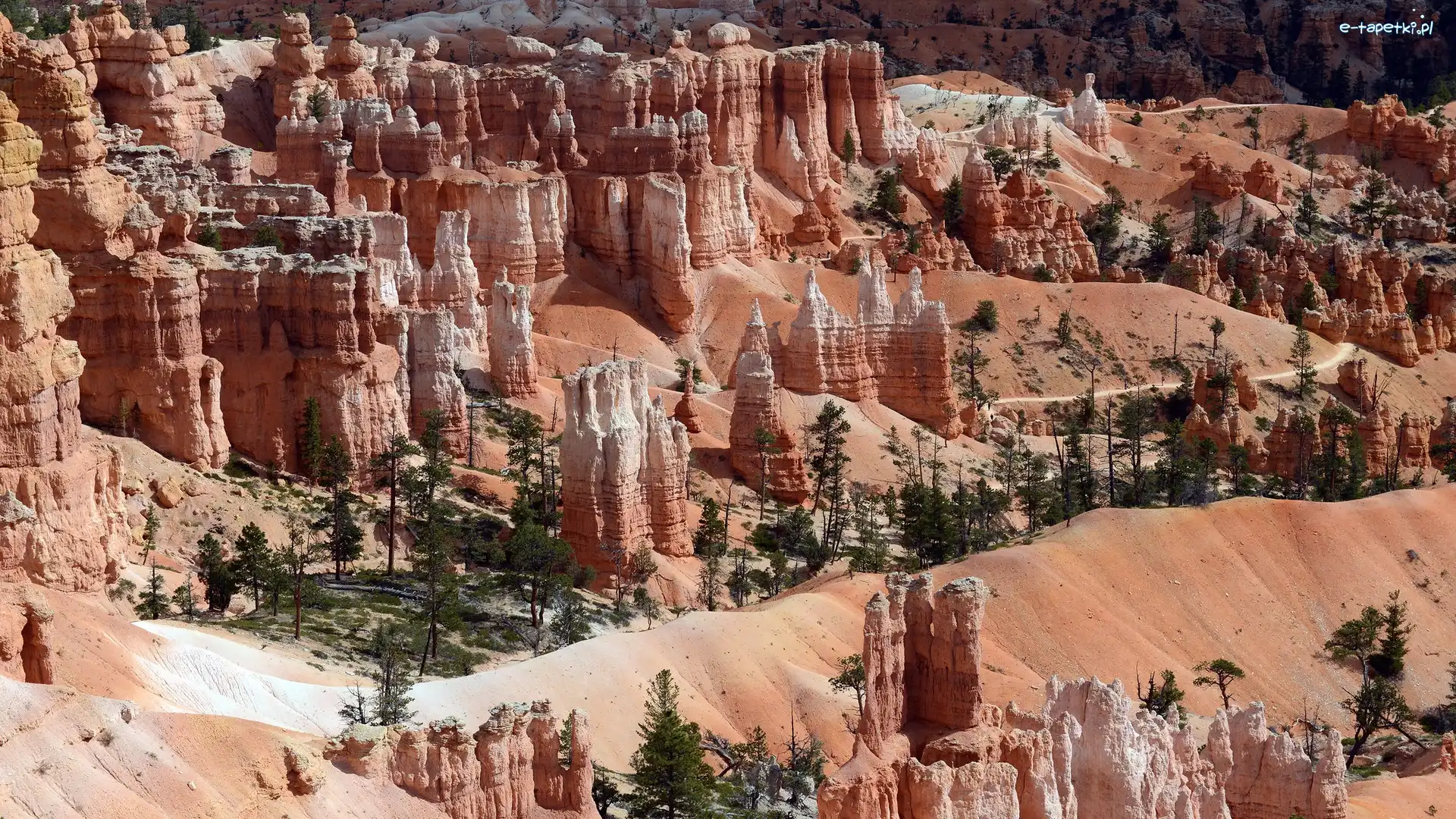 Czerwone, Park Narodowy Bryce Canyon, Skały, Stany Zjednoczone, Utah