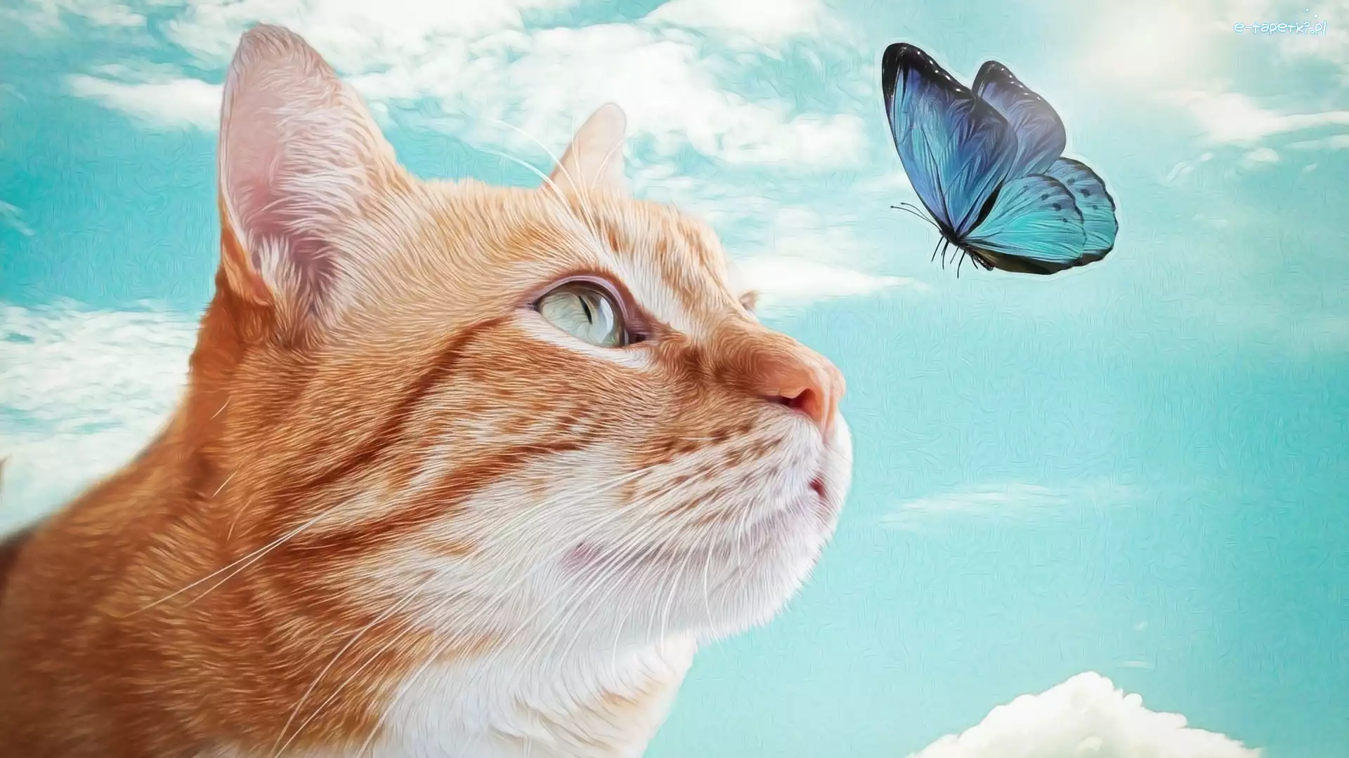 Kot, Grafika, Motyl, Rudy
