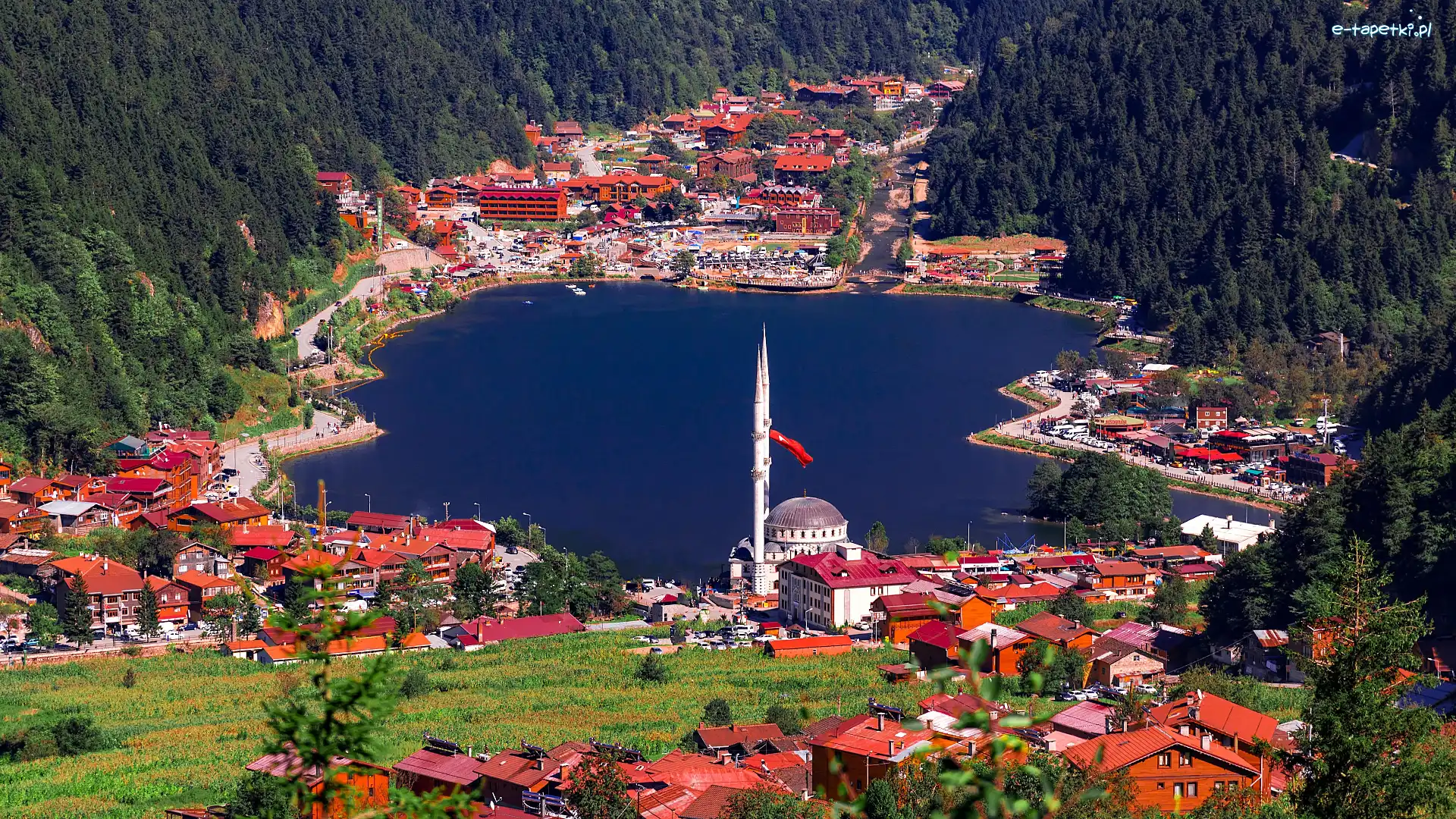 Jezioro, Prowincja Trabzon, Lasy, Drzewa, Caykara, Domy, Meczet, Turcja