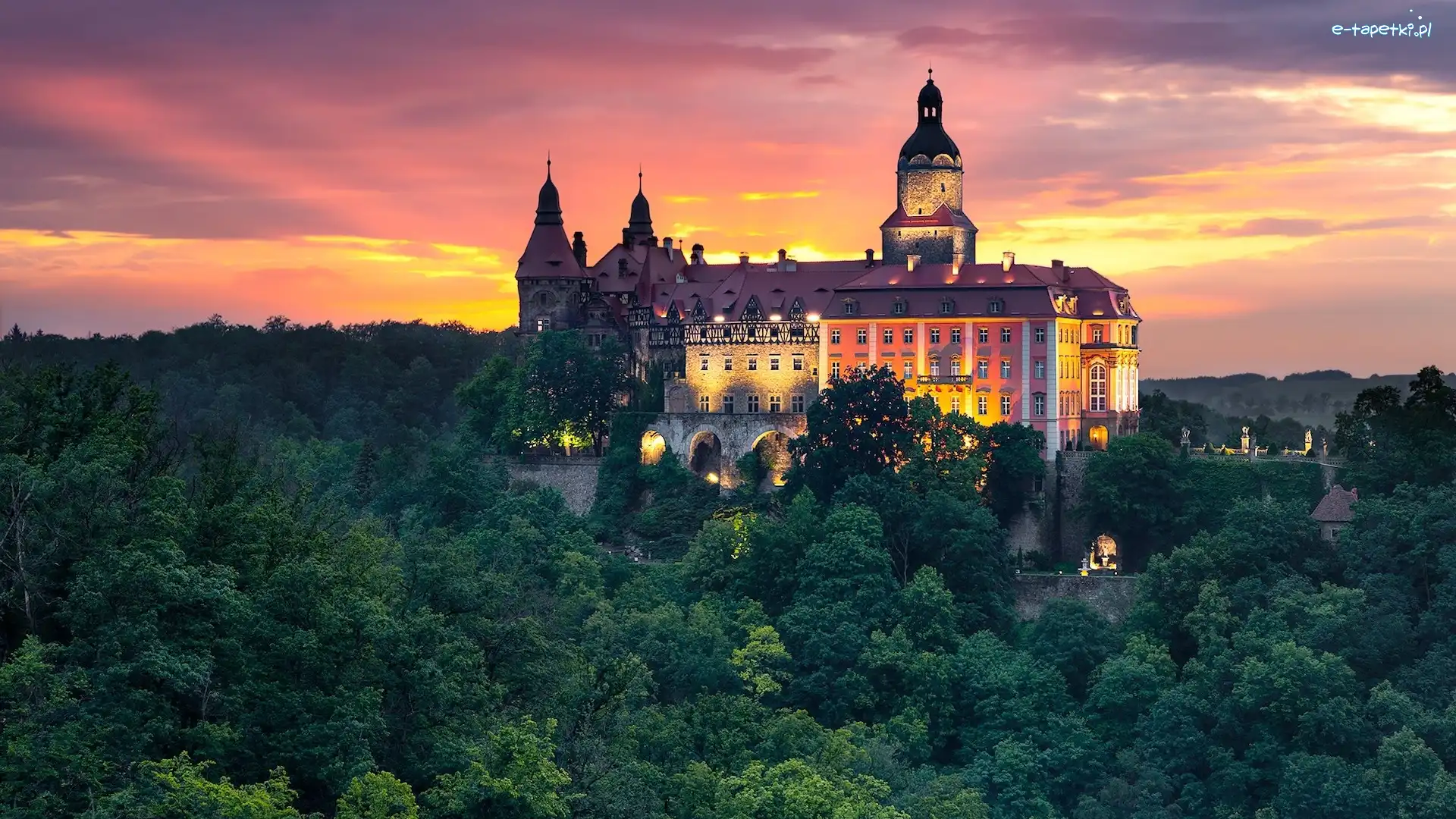 Wałbrzych, Drzewa, Zamek Książ, Polska