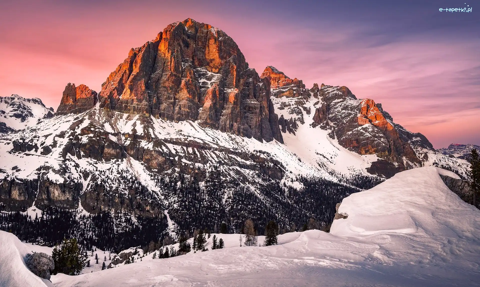 Zima, Prowincja Belluno, Drzewa, Las, Gmina Cortina dAmpezzo, Góry Tofany, Dolomity, Włochy