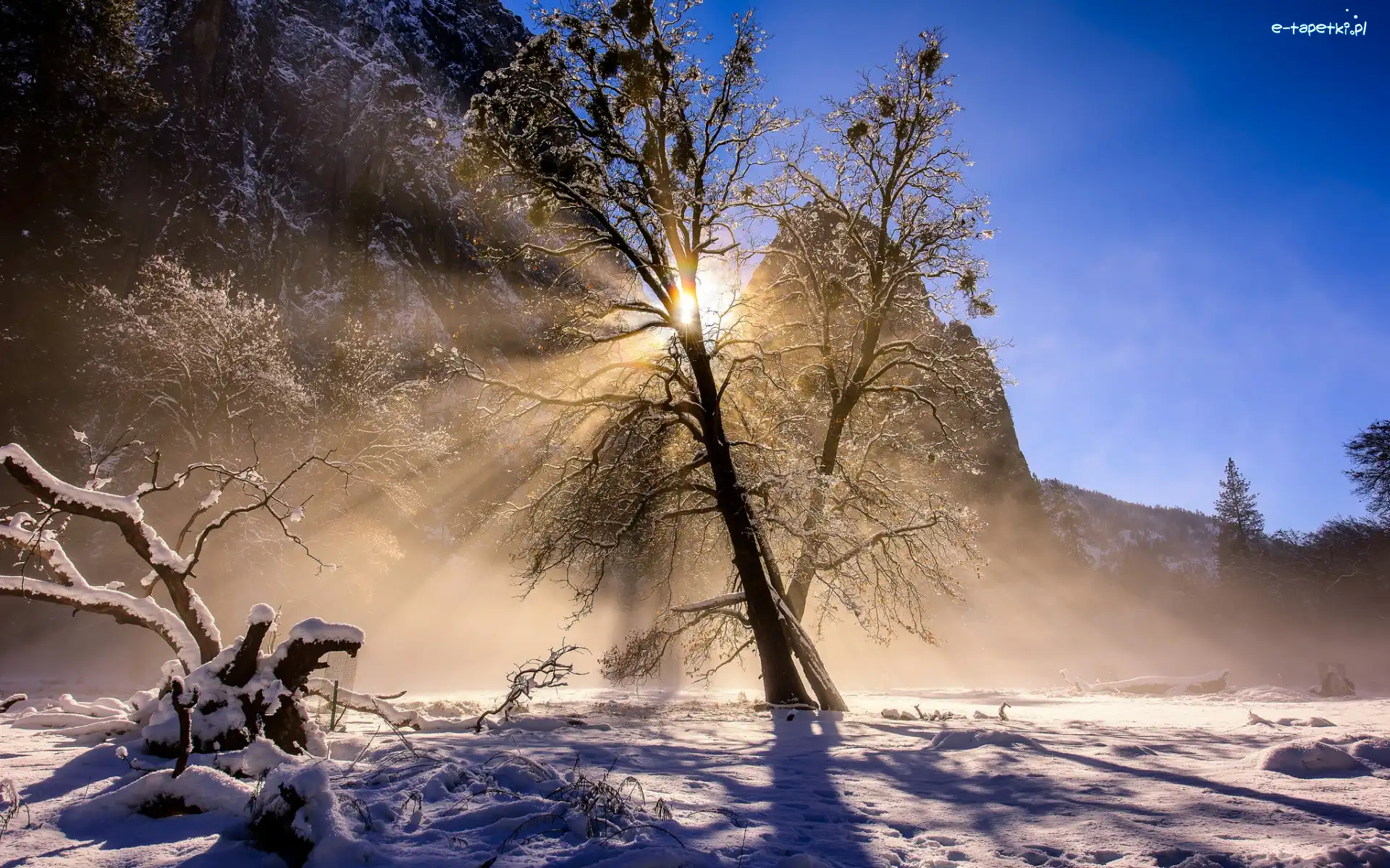 Słońce, Przebijające światło, Góry, Śnieg, Zima, Stany Zjednoczone, Kalifornia, Drzewo, Park Narodowy Yosemite