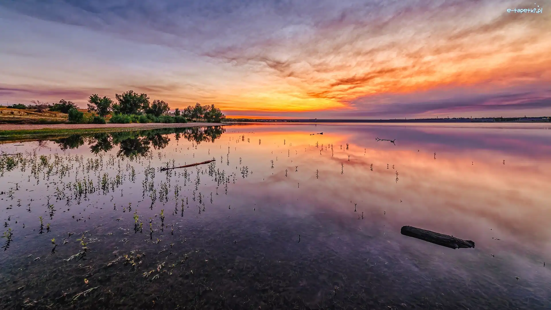 Jezioro, Niebo, Stany Zjednoczone, Kolorado, Drzewa, Lake Chatfield, Park stanowy Chatfield, Wschód słońca