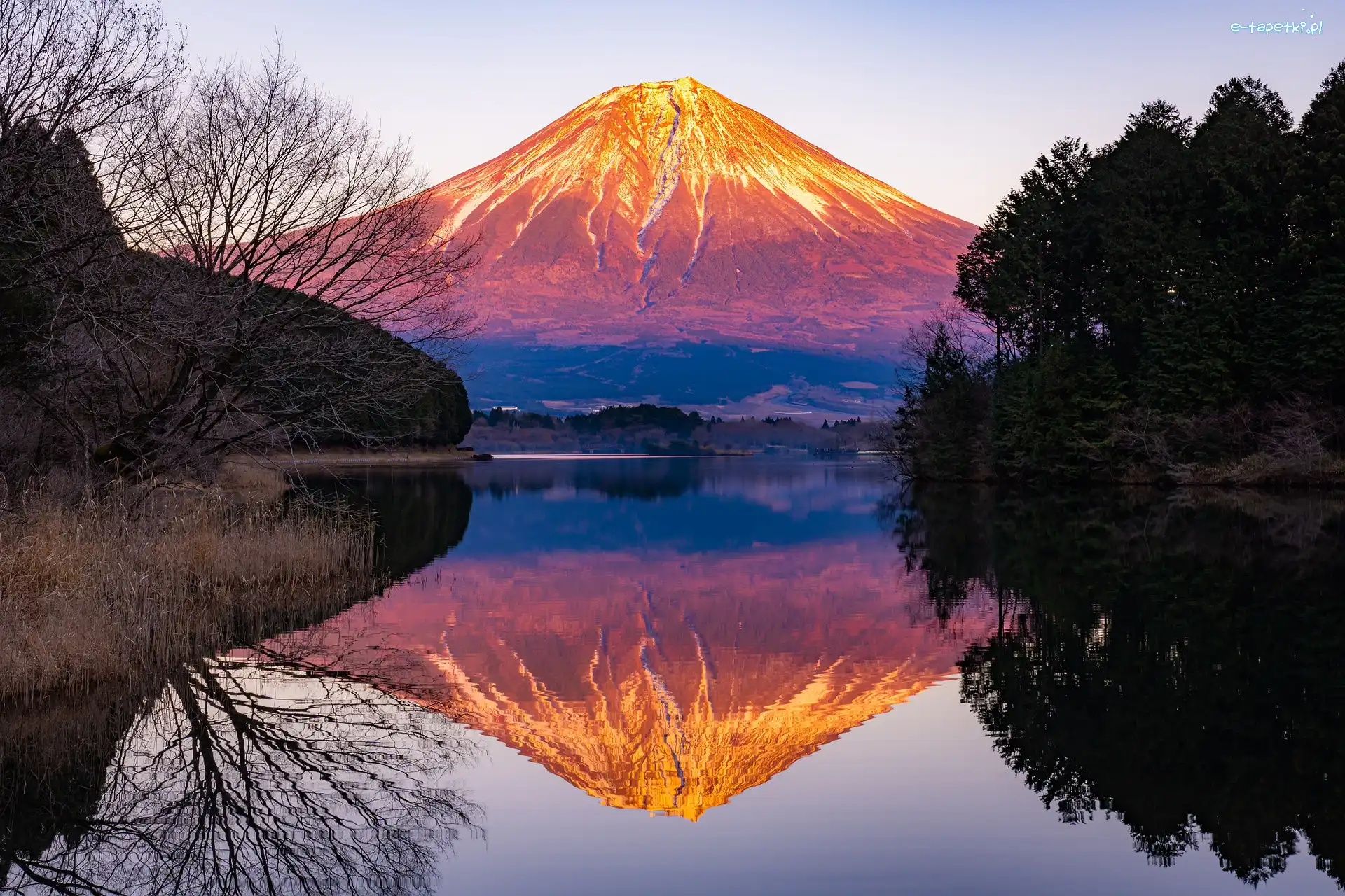 Fudżi, Wulkan, Góra, Japonia, Lake Tanuki, Jezioro