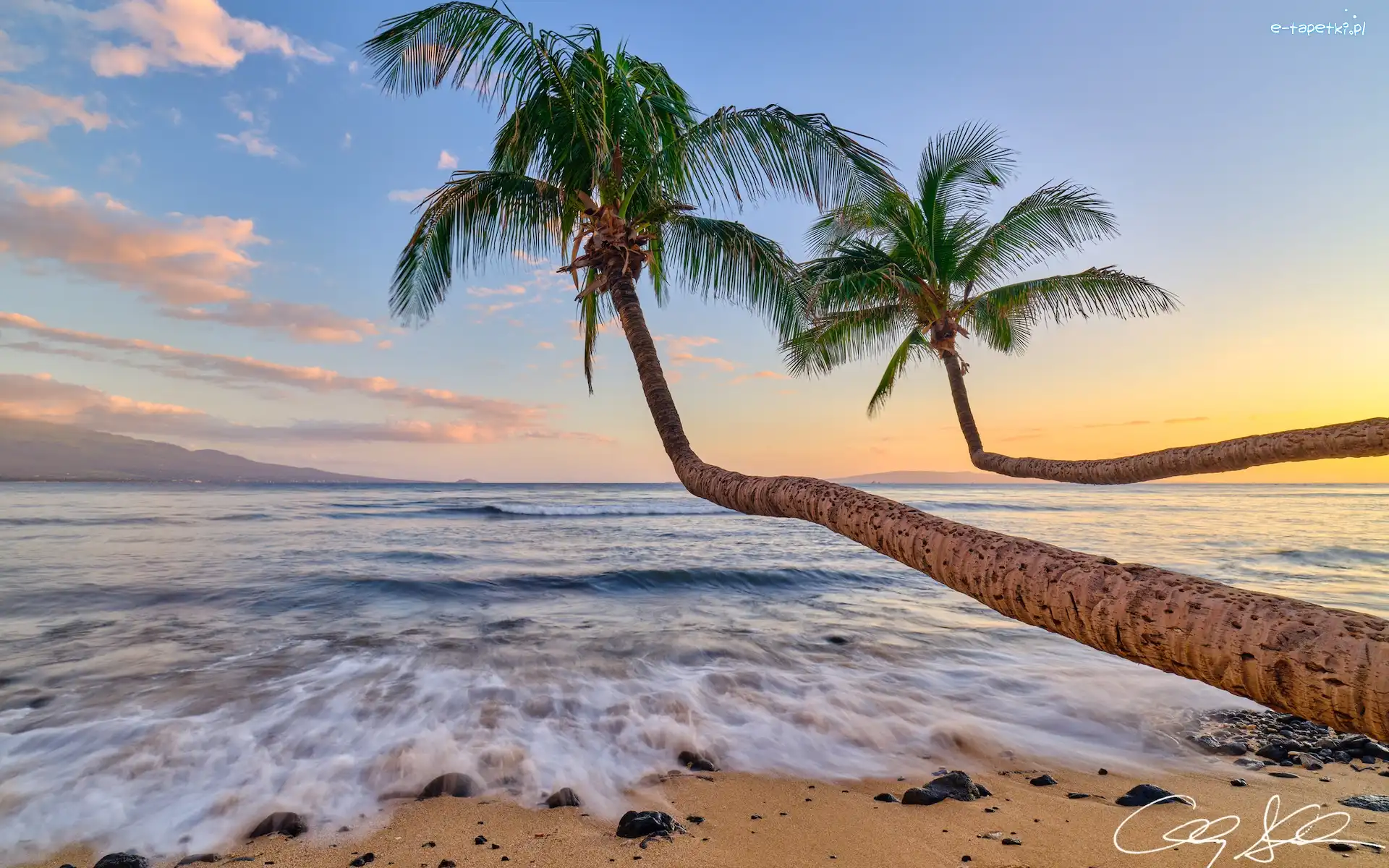 Palmy, Maui, Lahaina, Hawaje, Stany Zjednoczone, PLaża, Morze