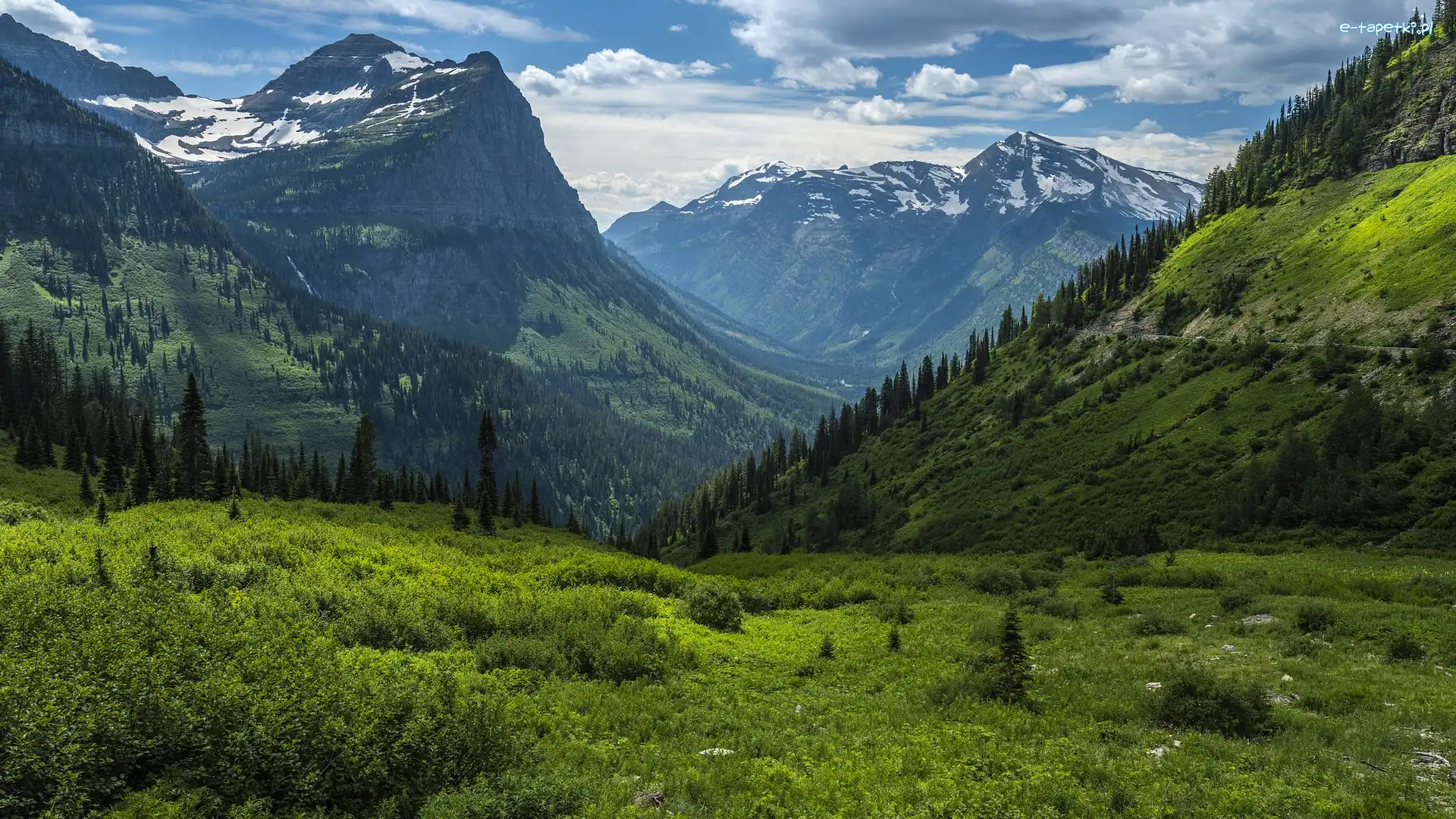 Dolina, Las, Stany Zjednoczone, Stan Montana, Drzewa, Chmury, Park Narodowy Glacier, Góry Skaliste