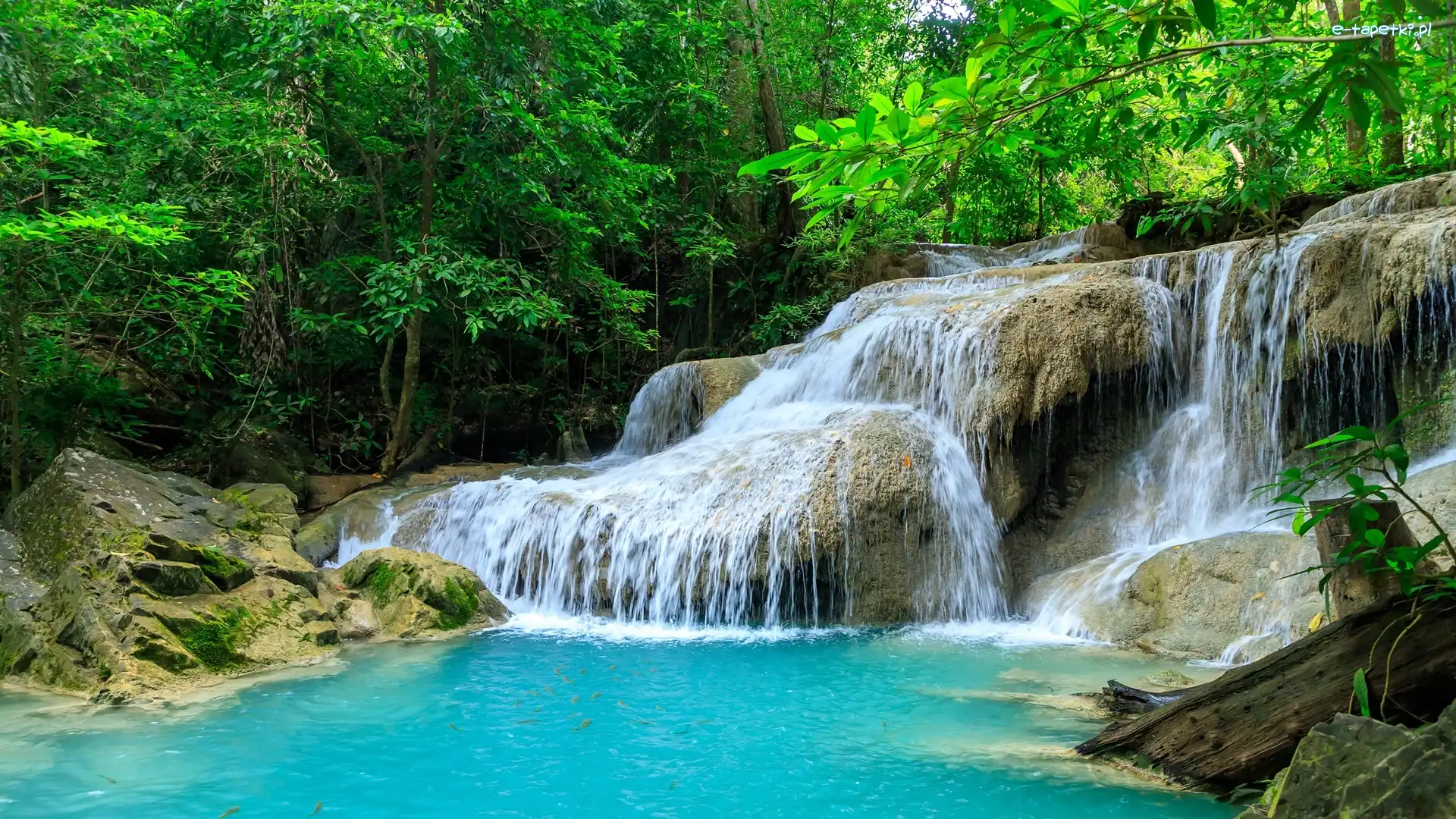 Drzewa, Las, Huai Mae Khamin, Wodospad, Park Narodowy Khuean Srinagarindra, Tajlandia, Kamienie, Prowincja Kanchanaburi, Zieleń