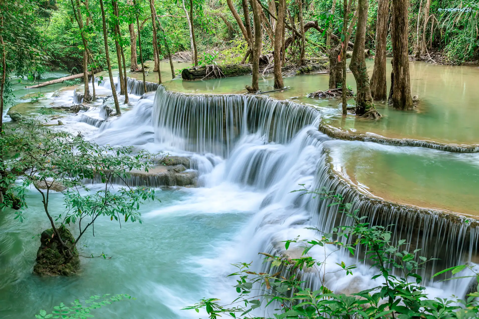 Kamienie, Drzewa, Tajlandia, Prowincja Kanchanaburi, Rośliny, Wodospad Huai Mae Khamin, Park Narodowy Khuean Srinagarindra, Las