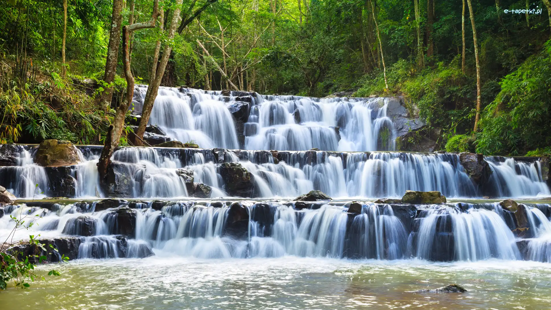 Tajlandia, Drzewa, Park Narodowy Namtok Phlio, Las, Wodospad Samlan, Saraburi, Prowincja