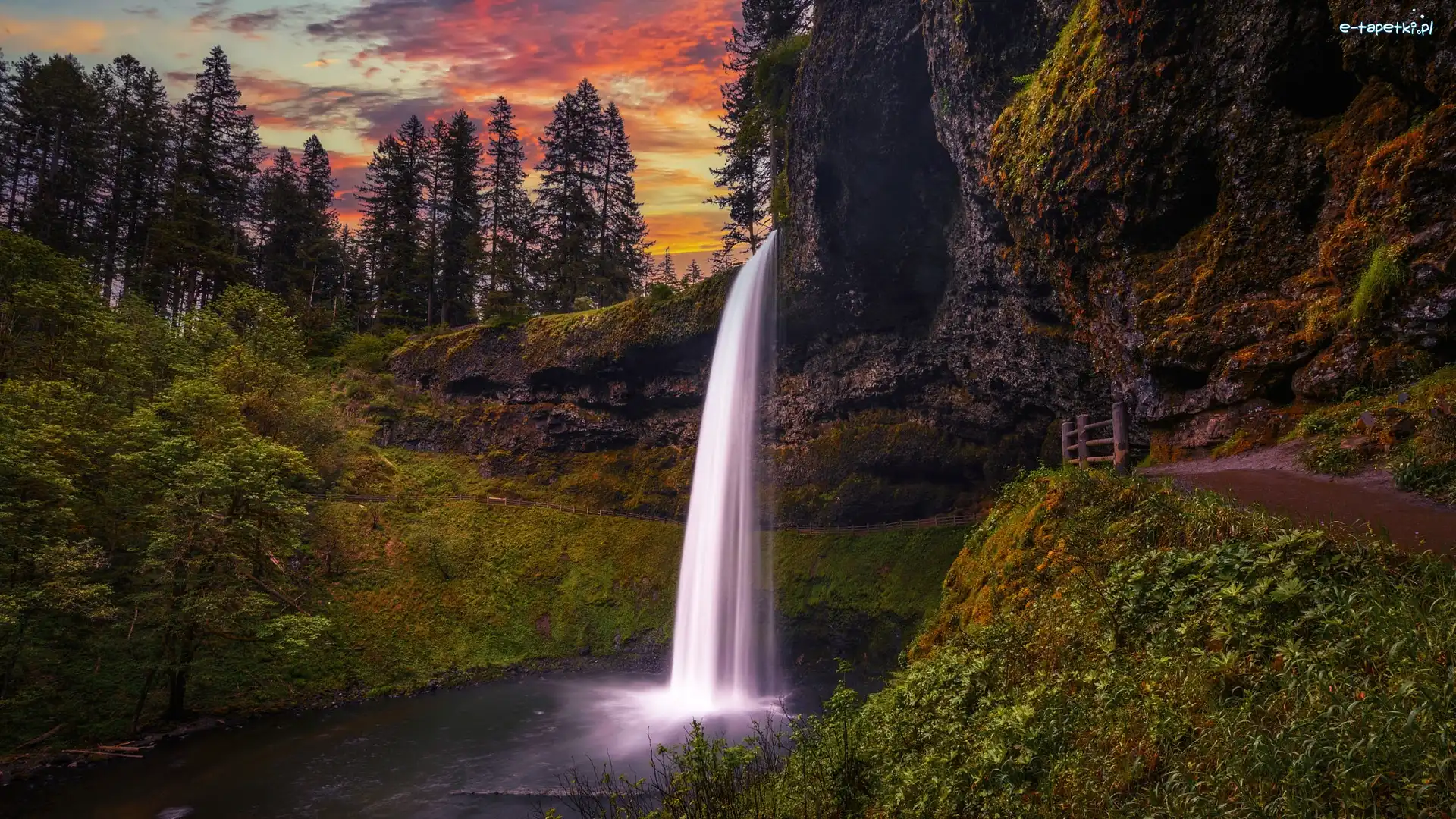 Drzewa, Park stanowy, Silver Falls State Park, Oregon, Stany Zjednoczone, South Falls, Wodospad