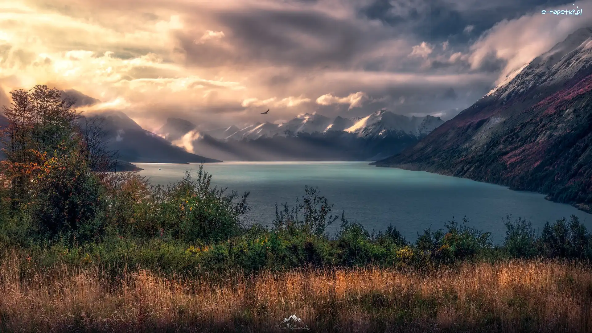 Roślinność, Góry, Jezioro, Patagonia, Argentyna, Mgła, Jesień