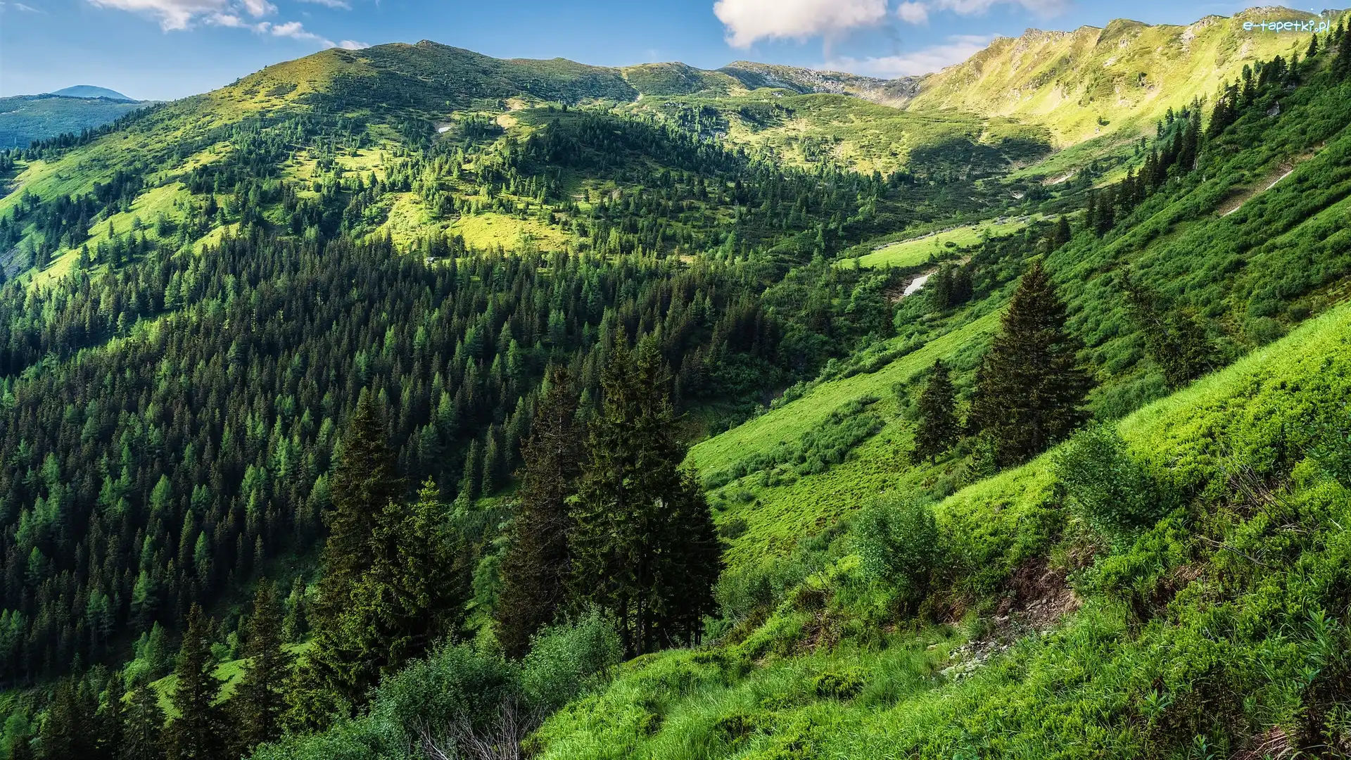Wzgórza, Niskie Taury, Drzewa, Austria, Rottenmanner und Wolzer Tauern, Góry