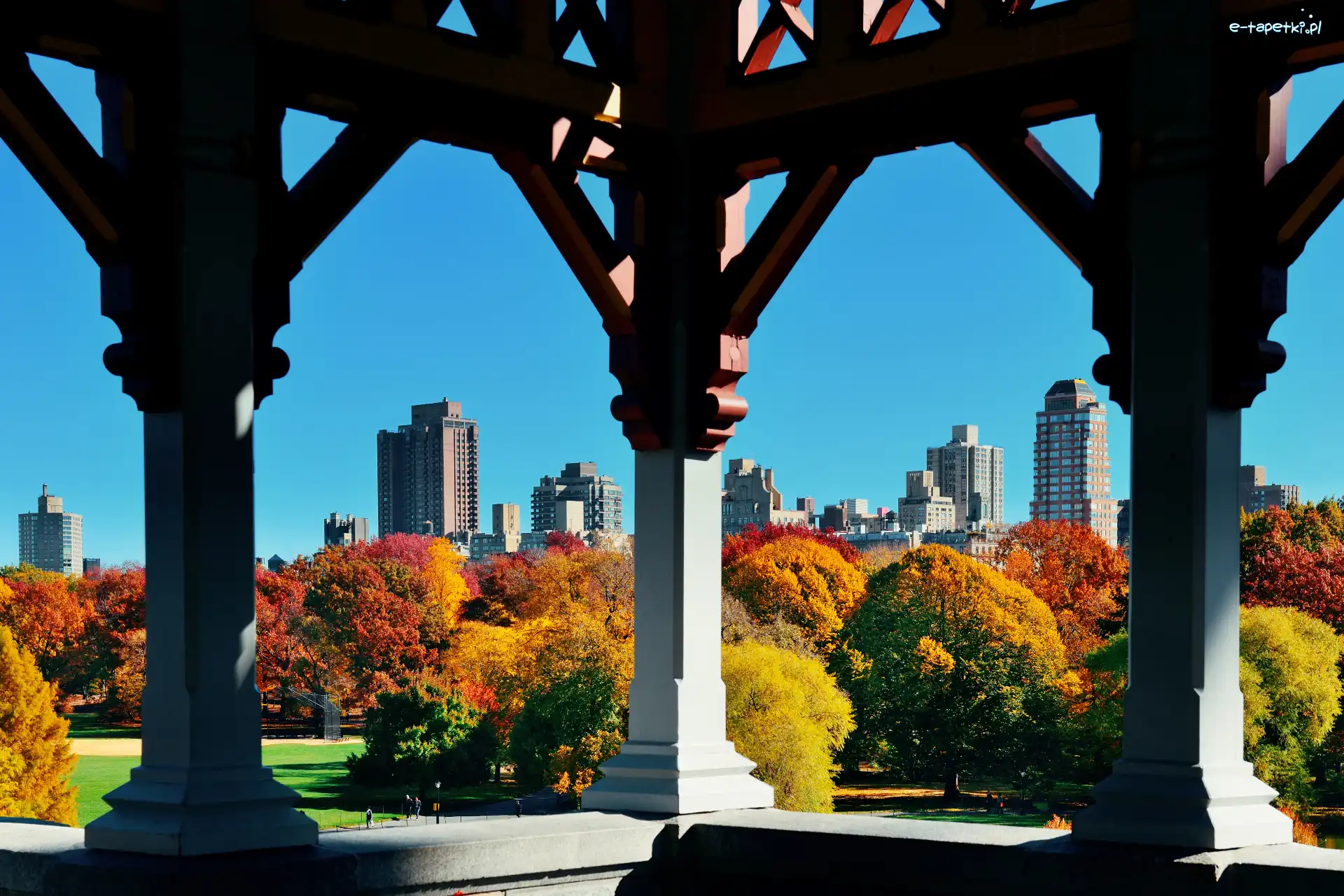 Drzewa, Central Park, Stany Zjednoczone, Manhattan, Kolumny, Wieżowce, Nowy Jork, Jesień