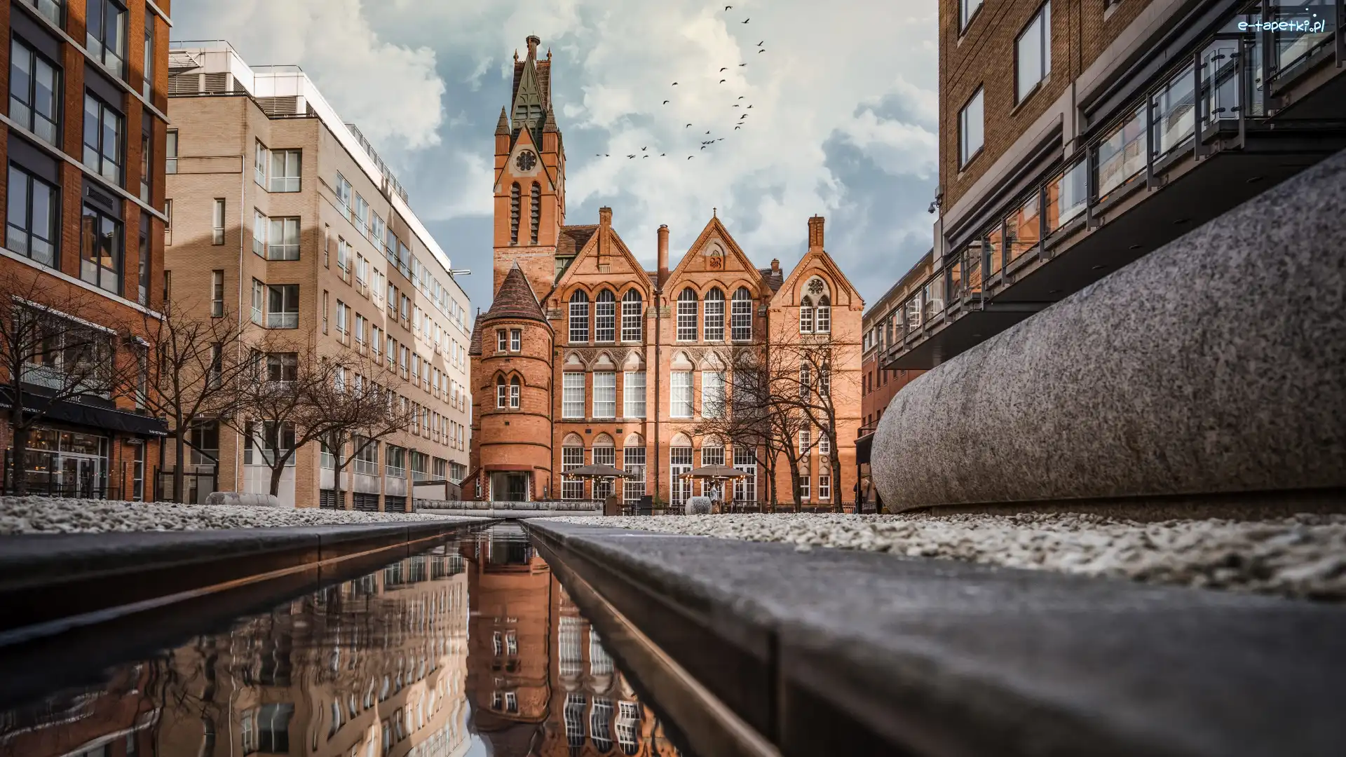 Birmingham, Ikon Gallery, Galeria Sztuki Ikon, Anglia, Domy, Oozells Square