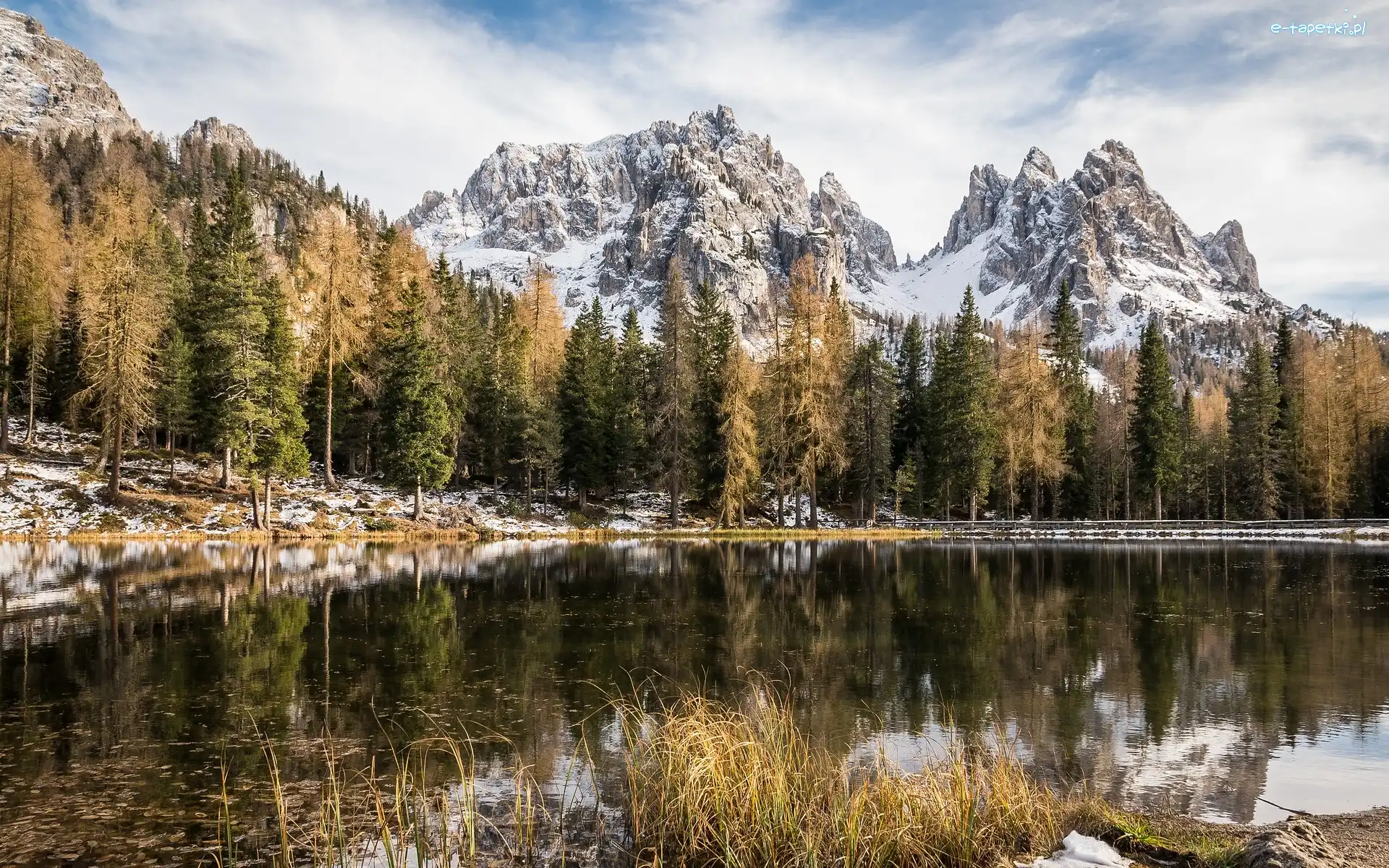 Dolomity, Antorno Lake, Włochy, Prowincja Belluno, Góry, Masyw Tre Cime di Lavaredo, Drzewa, Jezioro