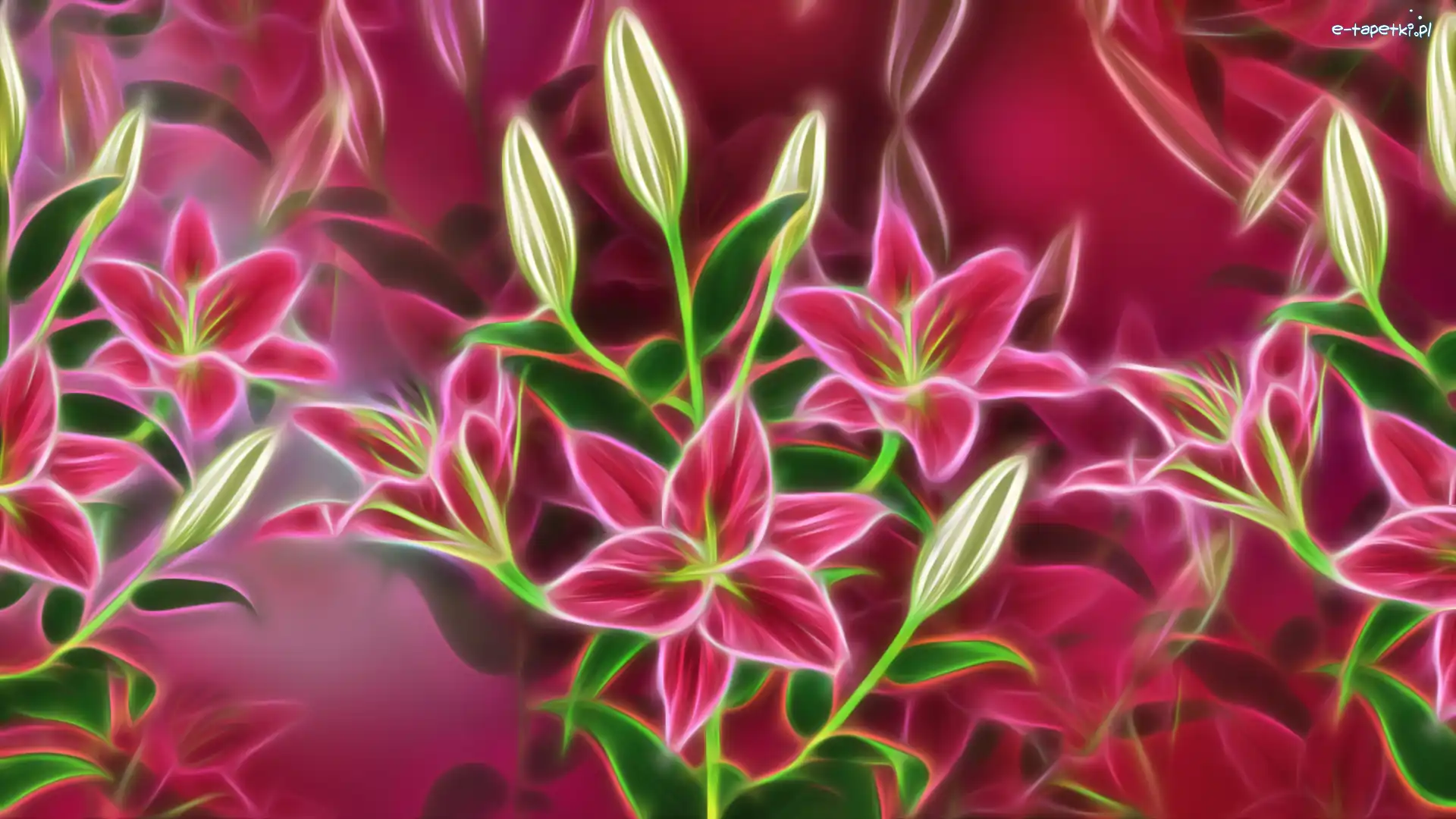 Lilie, Fractalius, Grafika, Kwiaty