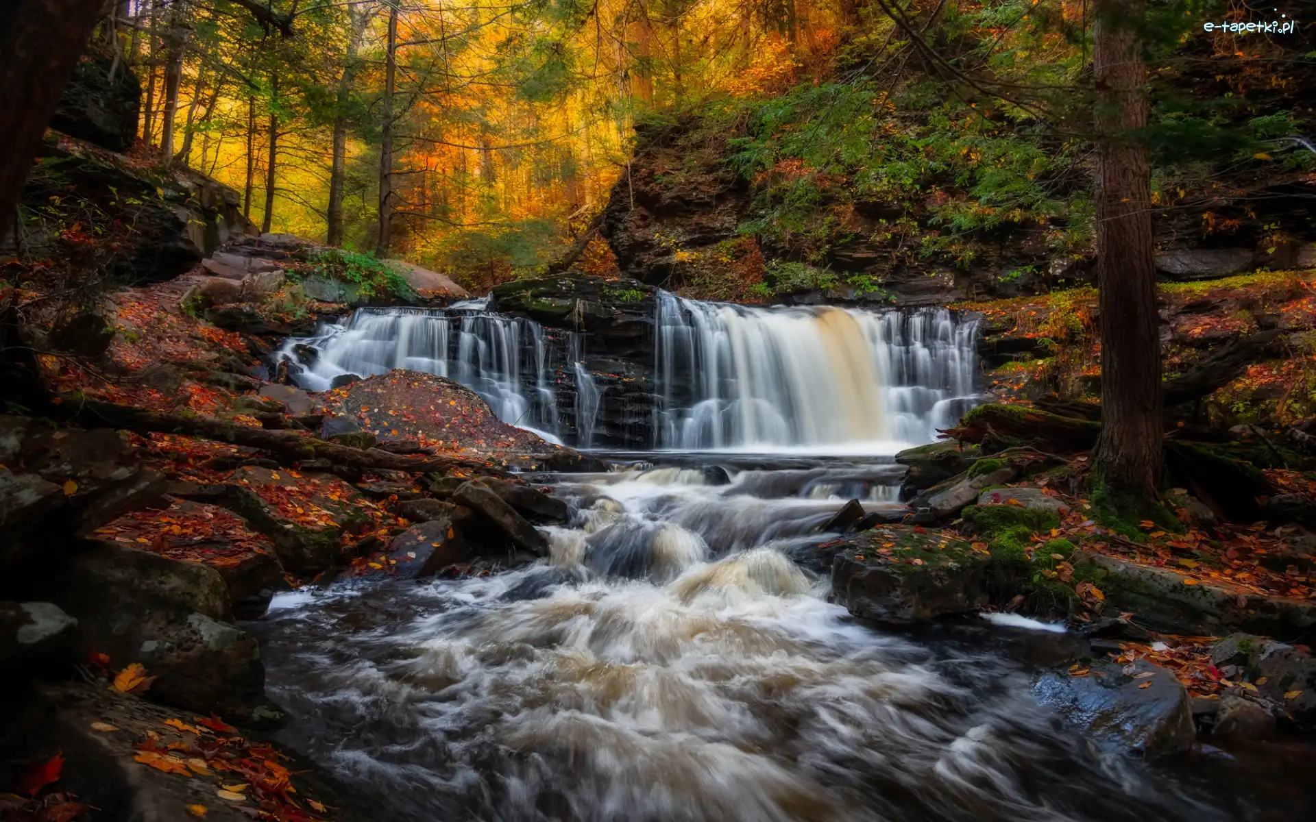 Wodospad, Las, Ricketts Glen State Park, Pensylwania, Stany Zjednoczone, Drzewa, Rzeka, Jesień, Cayuga Falls