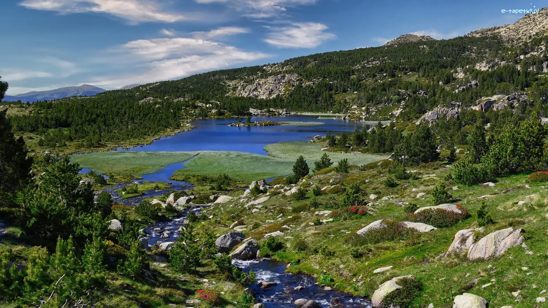 Lac des Bouillouses, Pireneje, Francja, Drzewa, Jezioro, Rzeka, Kamienie, Góry