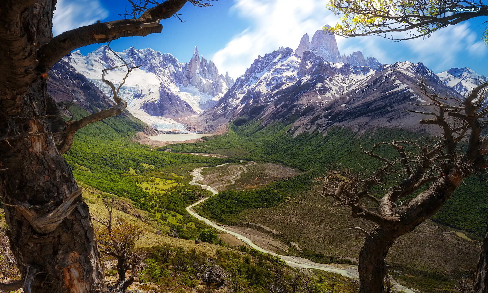 Fitz Roy, Góry, Ośnieżone, Drzewa, Patagonia, Argentyna