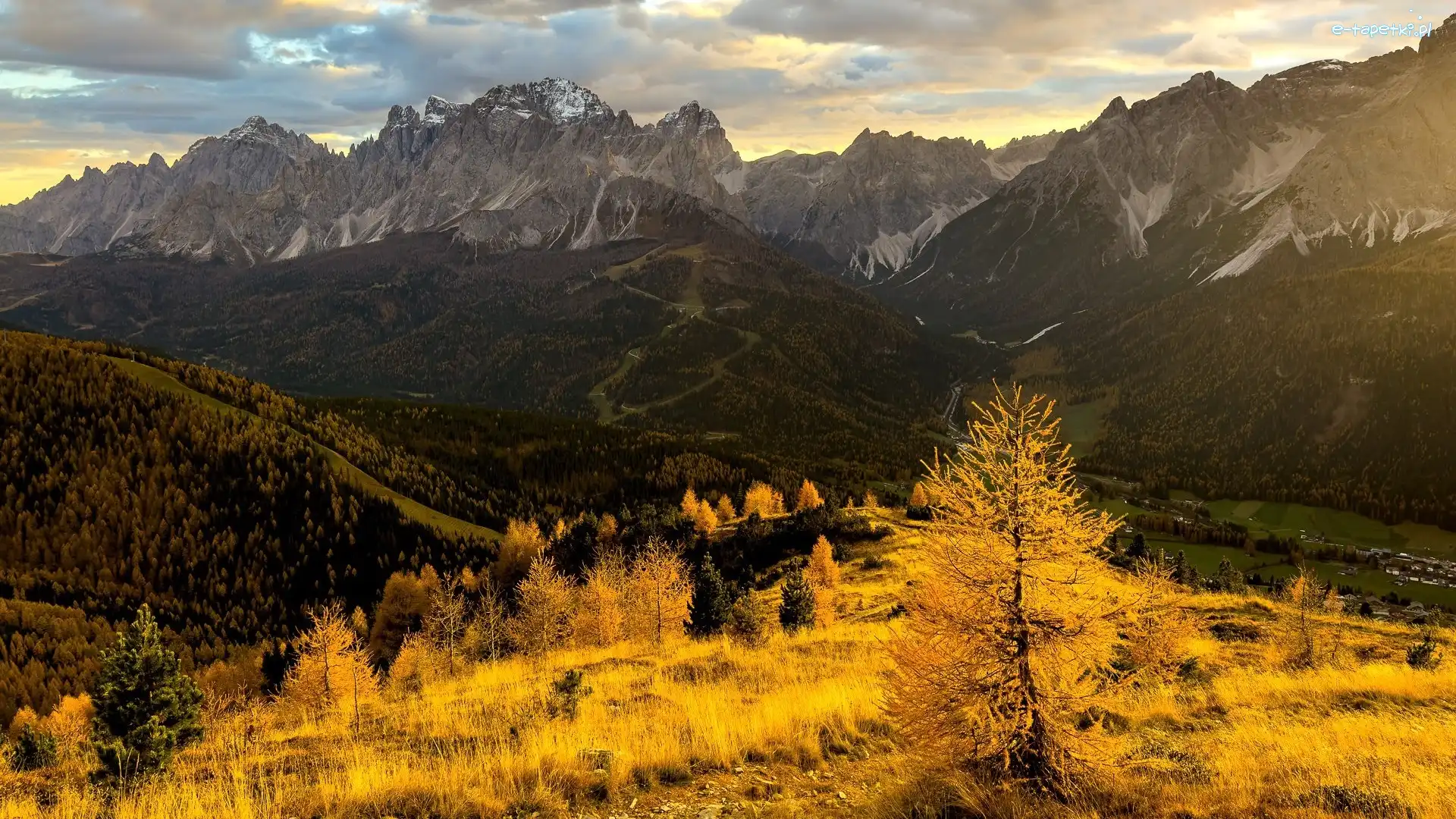 Modrzewie, Żółte, Dolomity, Góry, Jesień, Włochy, Tyrol, Drzewa, Trawa
