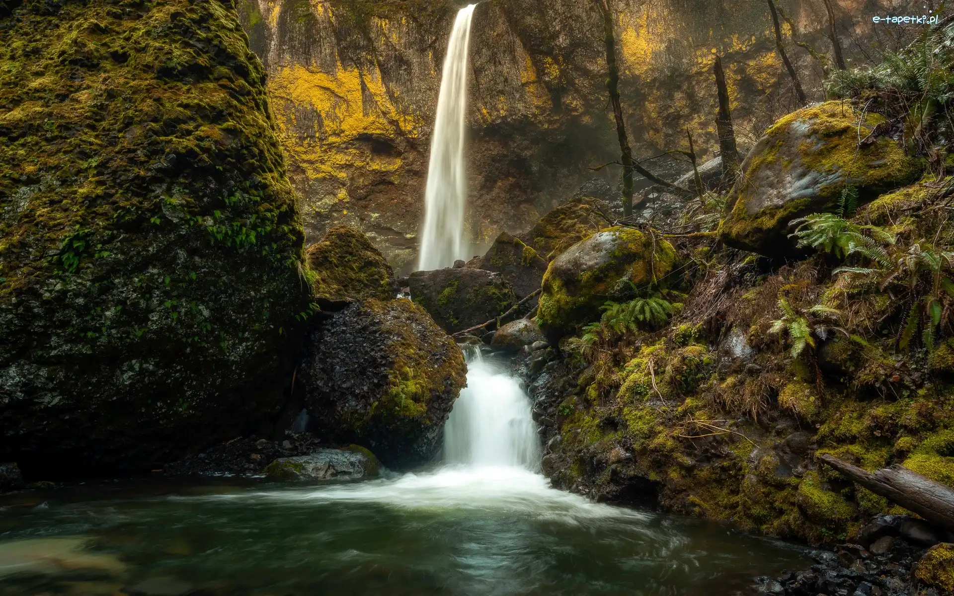 McCord Creek, Wodospad, Stany Zjednoczone, Rzeka, Omszona, Skała, Kamienie, Las, Elowah Falls, Oregon