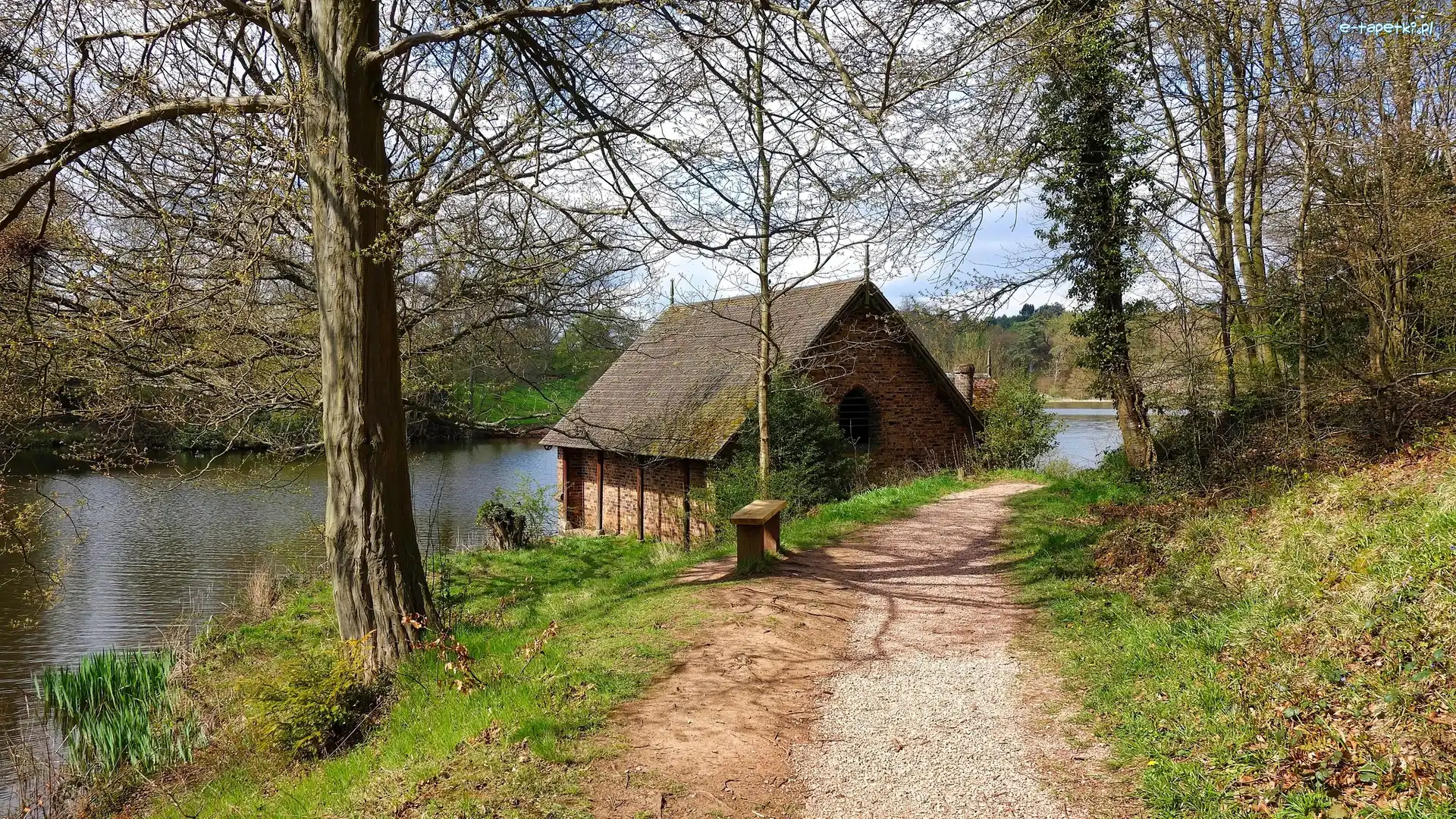 Jezioro, Dom, Anglia, Hrabstwo Shropshire, Przystań, Dudmaston Big Pool, Dudmaston Estate, Droga