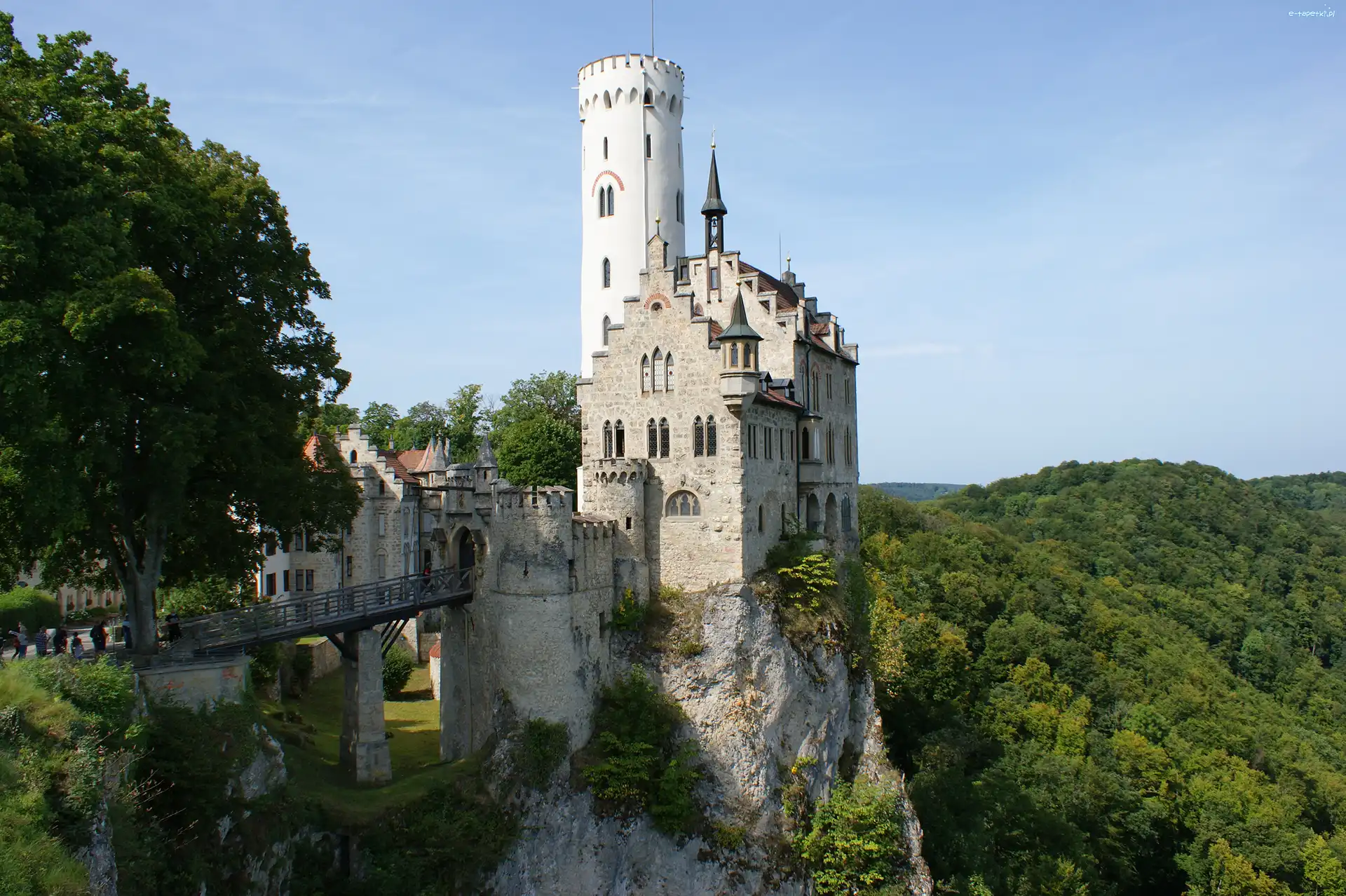 Skała, Wzgórze, Zamek Lichtenstein, Drzewa, Lichtenstein, Niemcy
