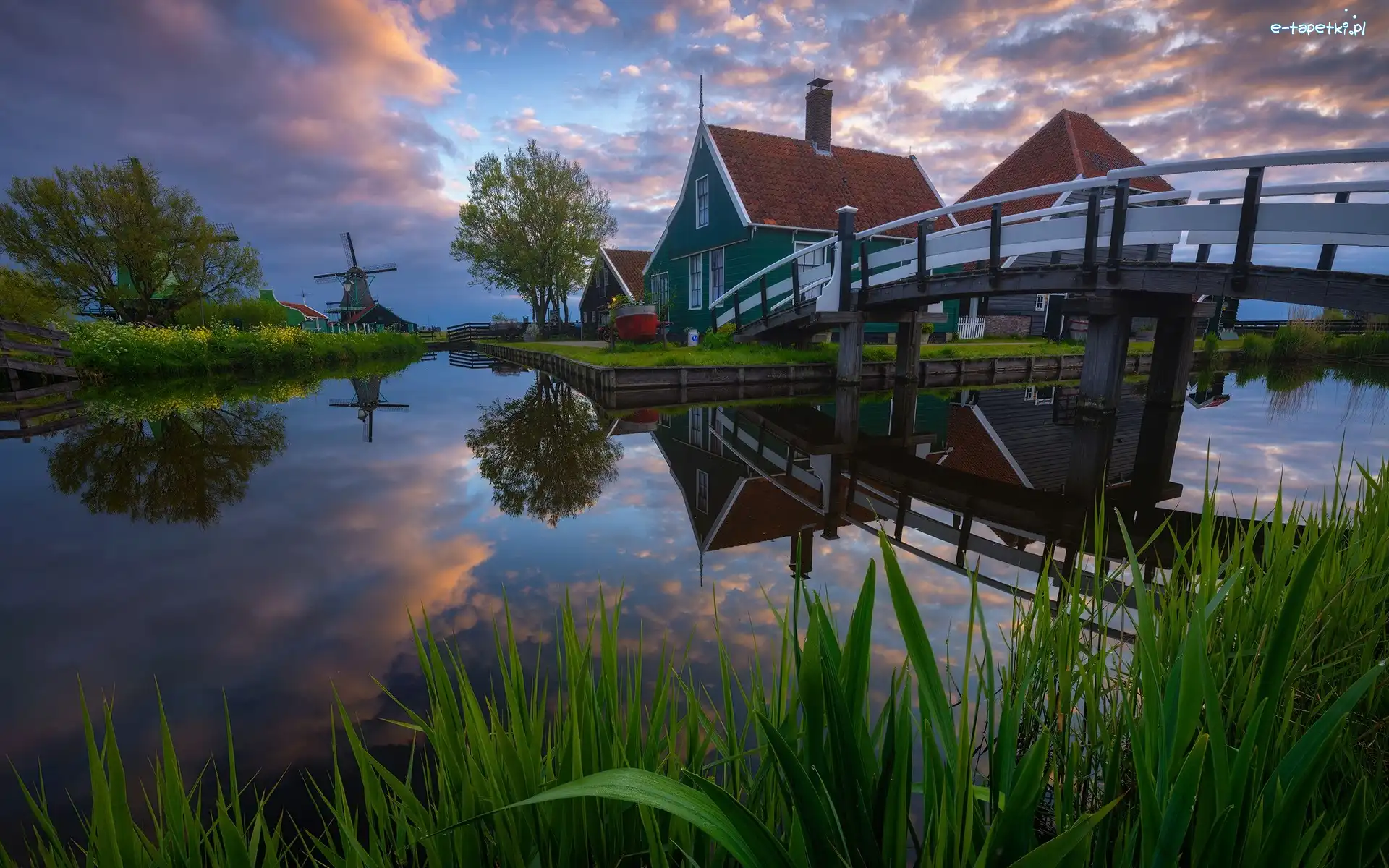 Domy, Skansen Zaanse Schans, Chmury, Drzewa, Wiatraki, Most, Rzeka, Holandia