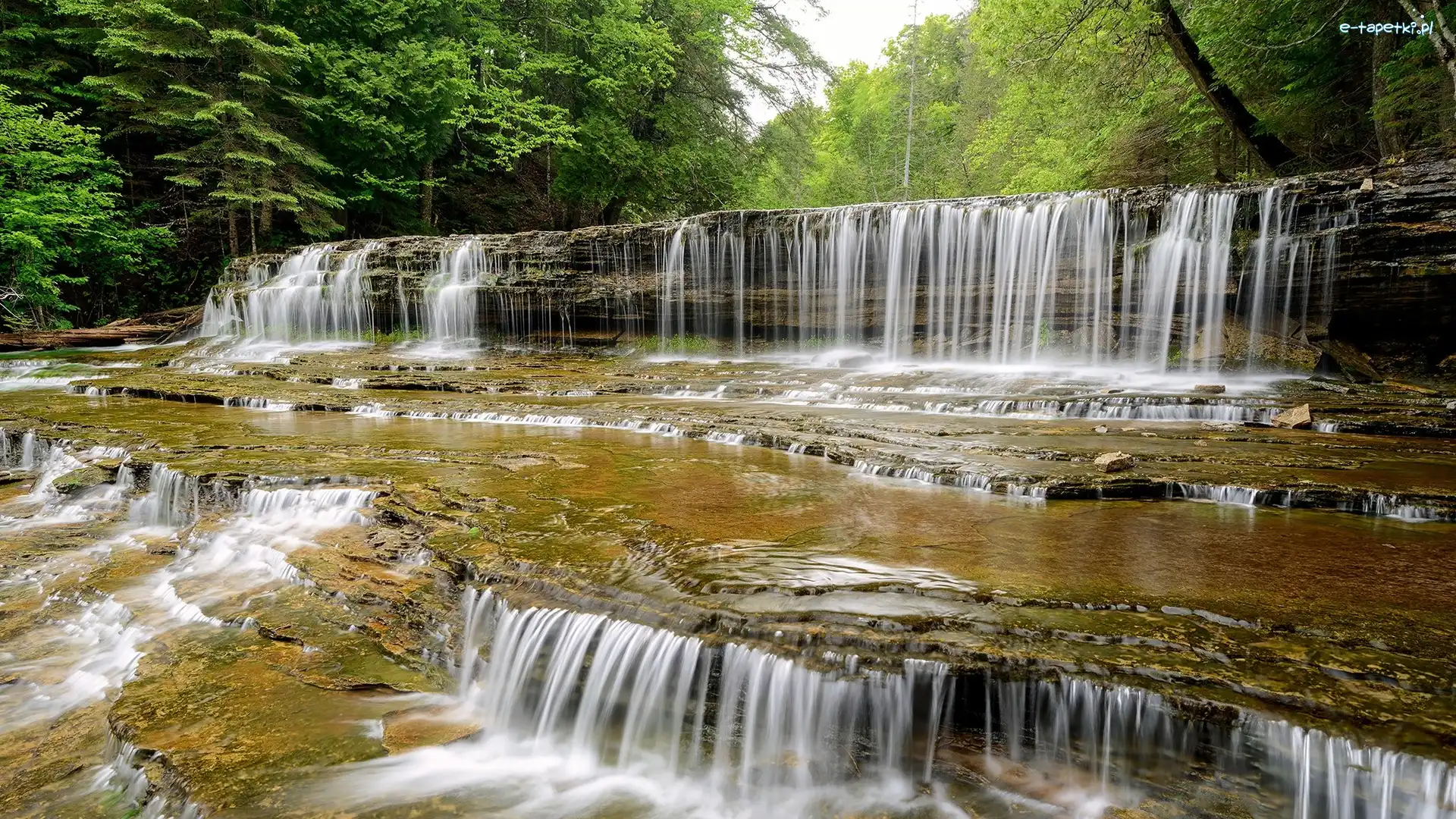 Drzewa, Hrabstwo Alger, Wodospad, Michigan, Stany Zjednoczone, Skały, Au Train Falls