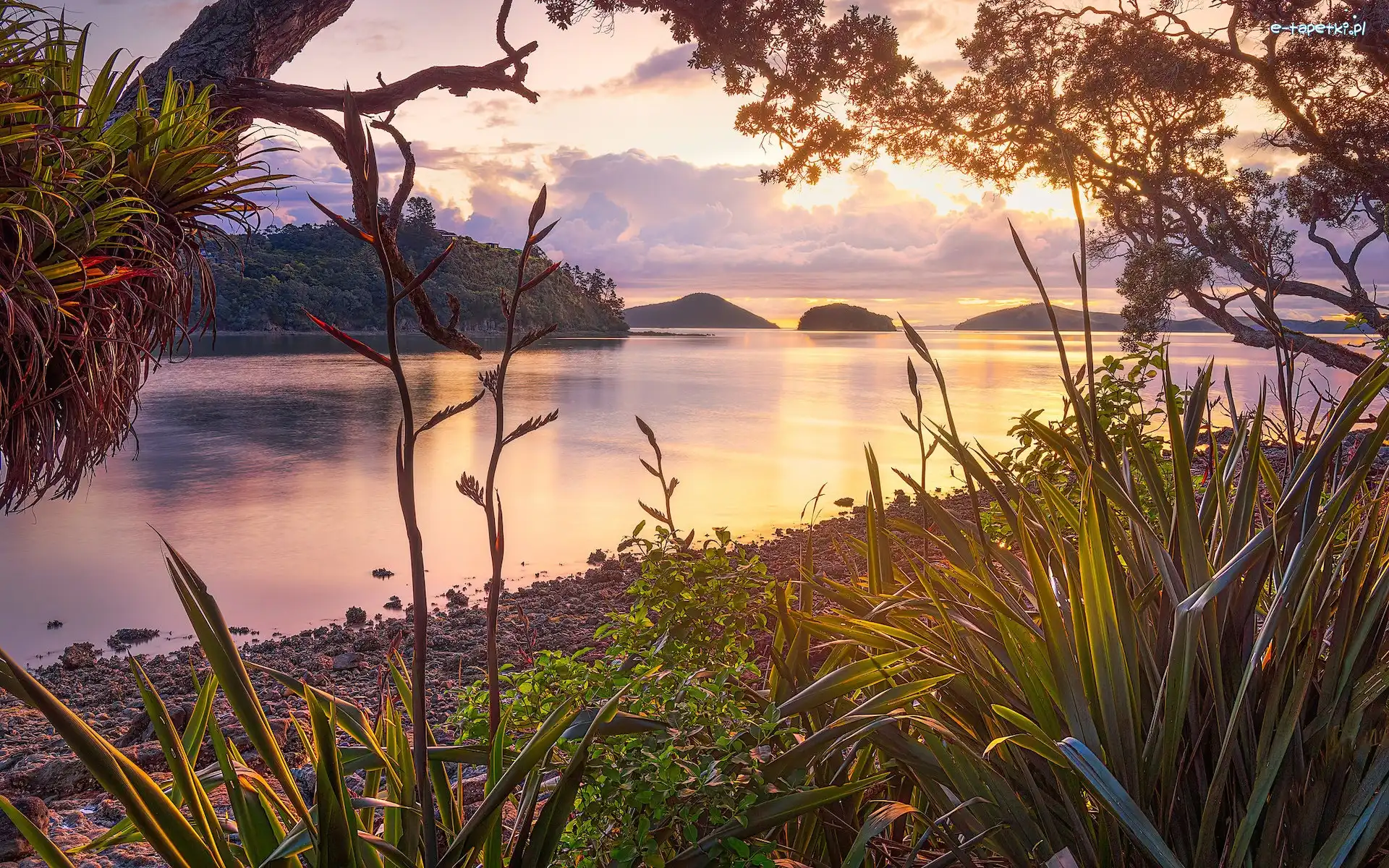 Drzewa, Long Bay, Morze, Półwysep Coromandel, Nowa Zelandia, Rośliny, Zachód słońca, Zatoka, Wysepki
