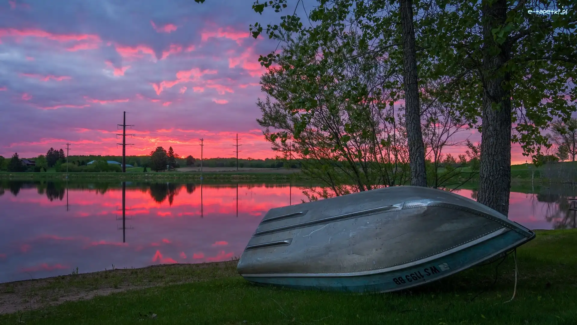 Trawa, Różowe, Stany Zjednoczone, Drzewa, Jezioro, Sand Lake, Łódka, Zachód słońca, Niebo, Wisconsin