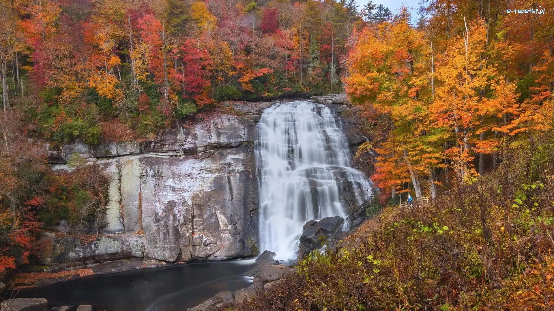 Gorges State Park, Skały, Stany Zjednoczone, Drzewa, Rainbow Falls, Rzeka, Kolorowe, Jesień, Wodospad, Karolina Północna