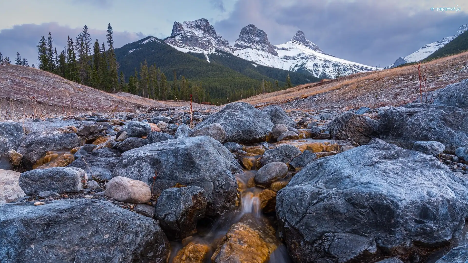 Three Sisters, Góra, Góry, Alberta, Kanada, Drzewa, Potok, Canadian Rockies, Kamienie