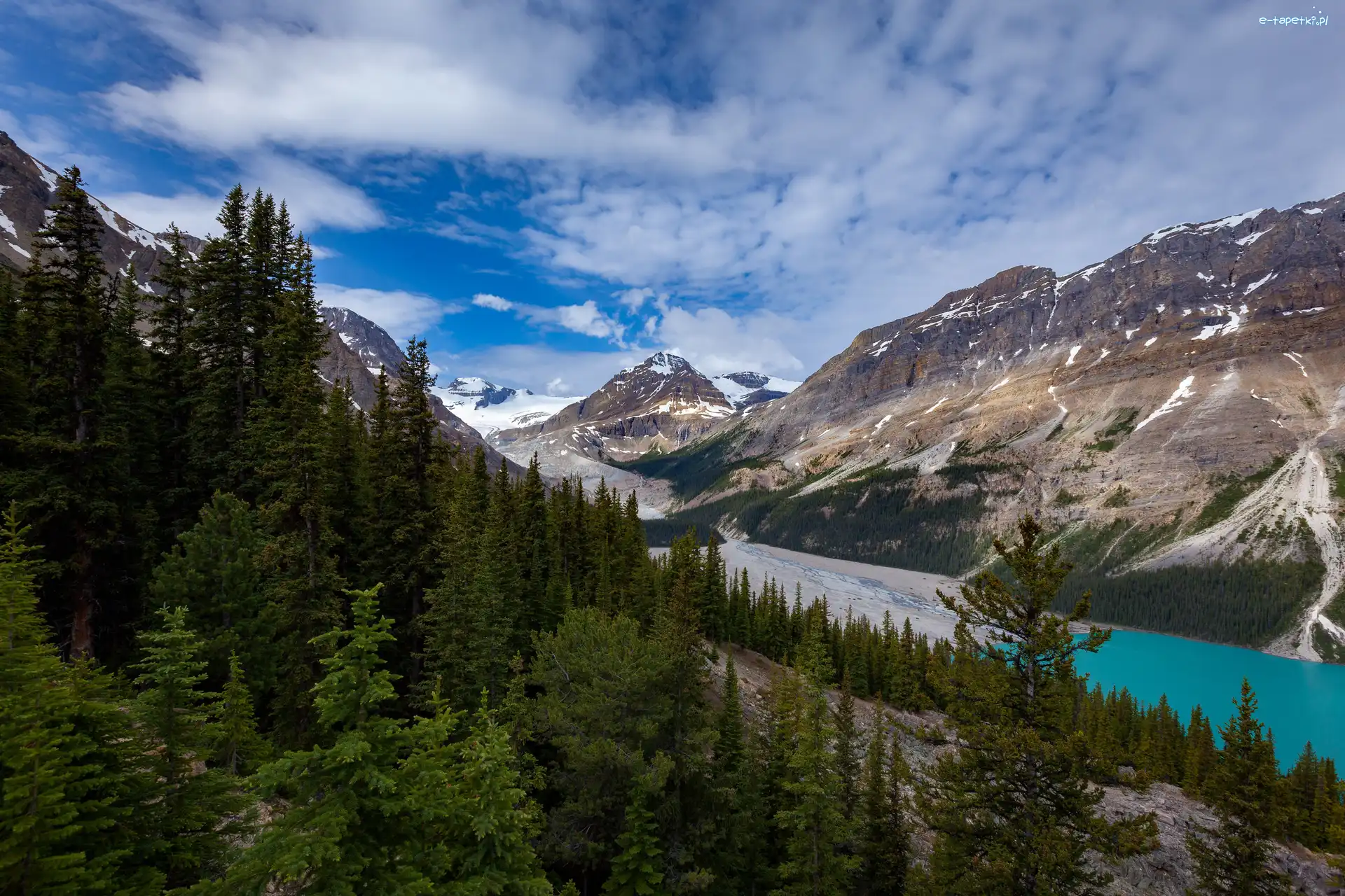 Jezioro, Prowincja Alberta, Drzewa, Las, Park Narodowym Banff, Peyto Lake, Góry, Kanada