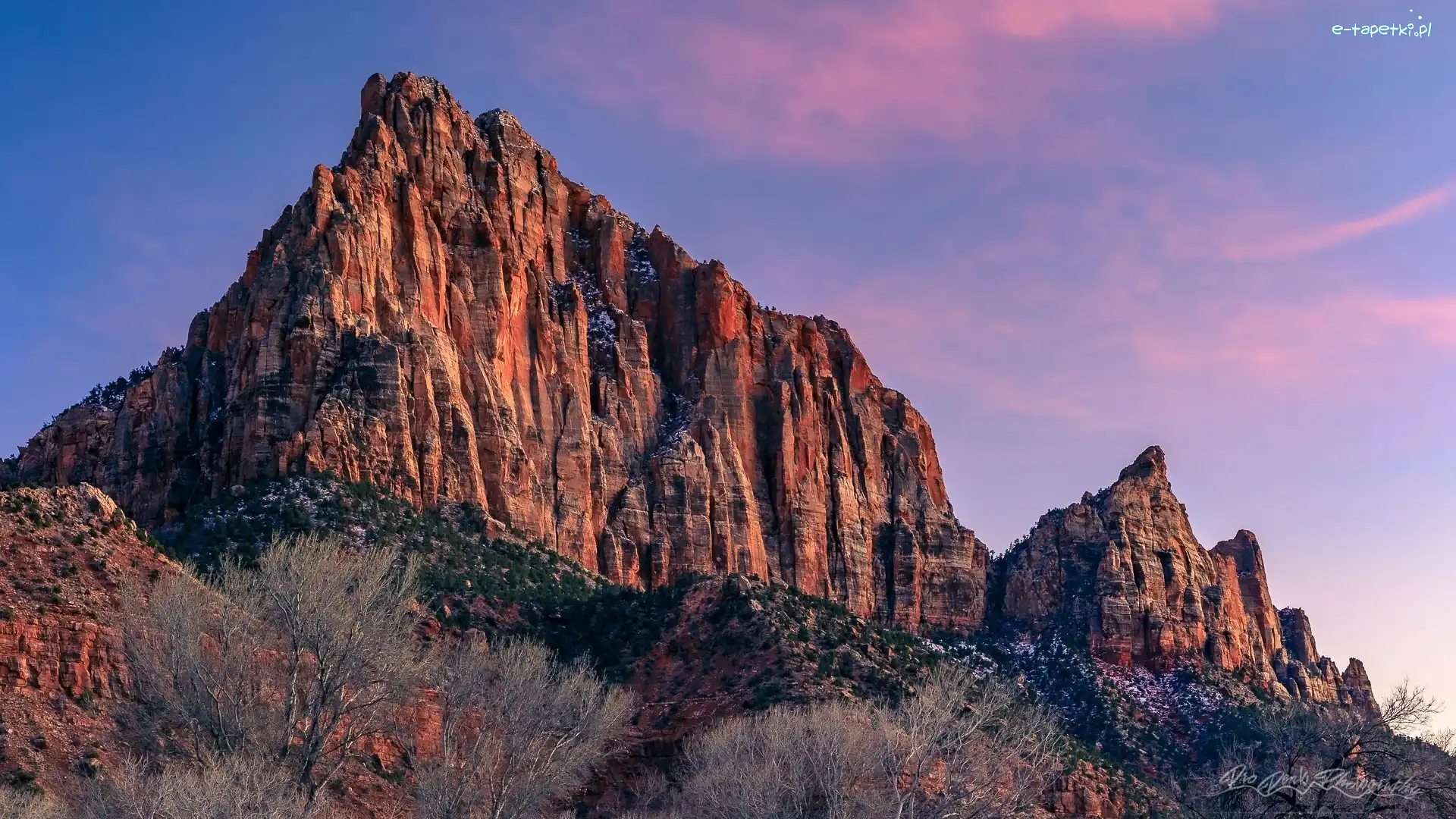 Stany Zjednoczone, Skały, Krzewy, Góra Watchman, Góry, Stan Utah, Park Narodowy Zion