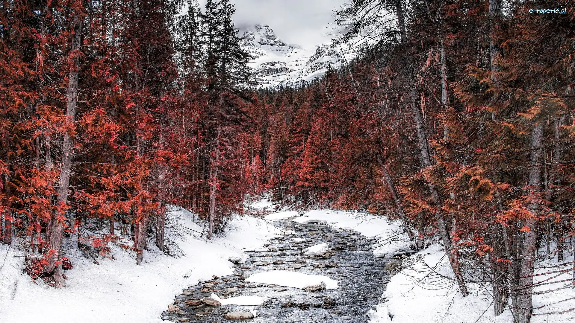 Rzeka, Zima, Robson River, Brązowe, Kanada, Drzewa, Canadian Rockies, Kolumbia Brytyjska, Góry, Las, Śnieg