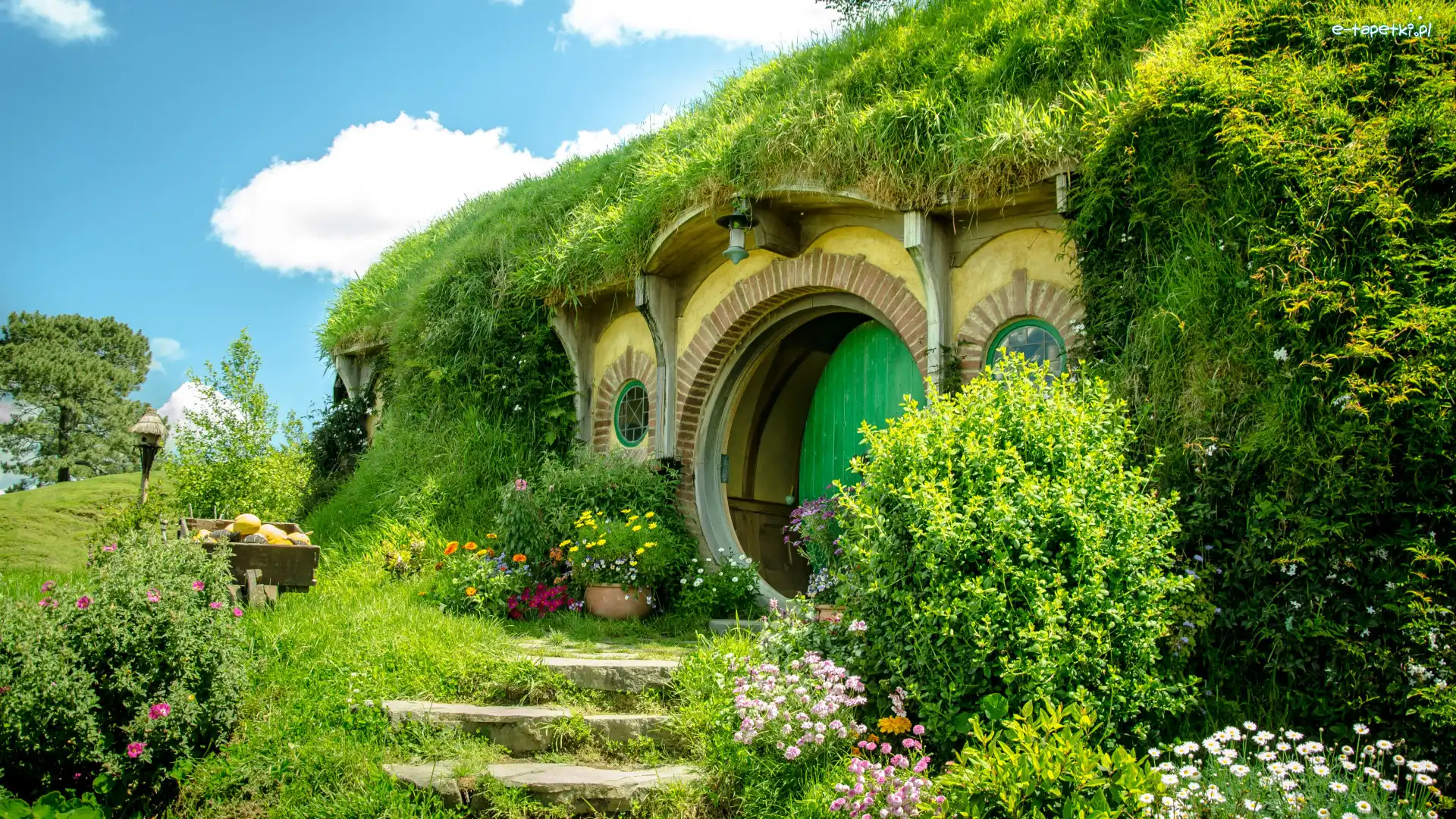 Dom, Atrakcja turystyczna, Nowa Zelandia, Miejscowość Matamata, Wzgórze, Rośliny, Hobbit, Plan filmowy Hobbiton