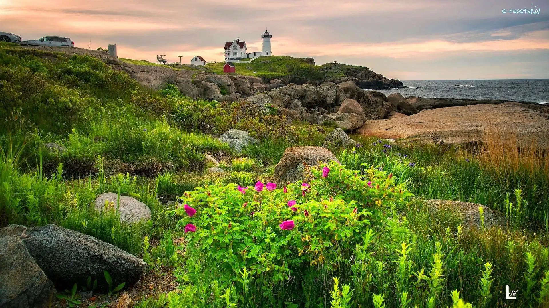 Rośliny, Skały, Latarnia morska, Wybrzeże, Morze, Stany Zjednoczone, Maine, Nubble Lighthouse, Cape Neddick