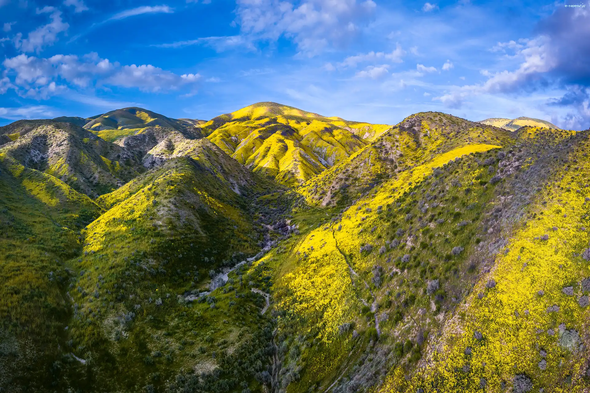 Góry, Carrizo Plain National Monument, Rezerwat przyrody, Stany Zjednoczone, Kalifornia