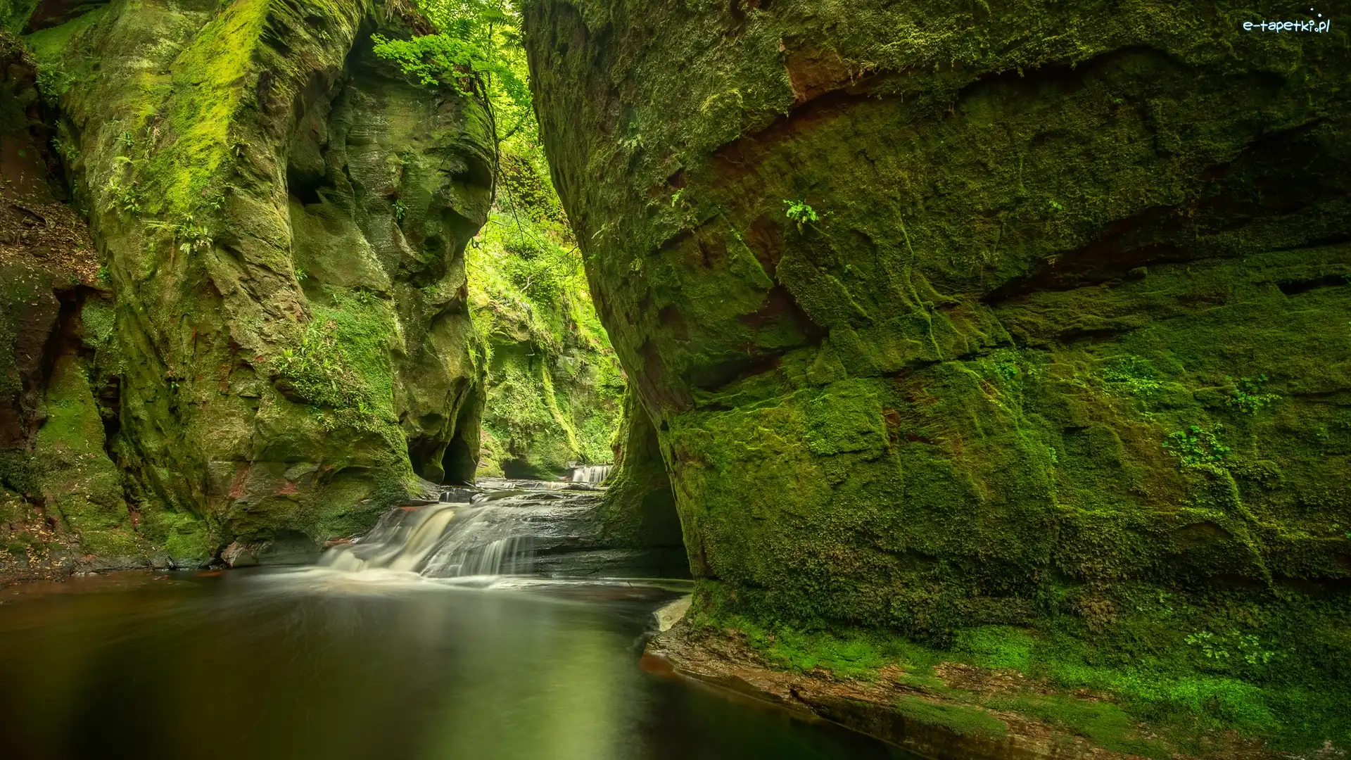 Rzeka Carnock Burn, Góry, Skały, Wąwóz Finnich Glen, Szkocja, Roślinność, Omszałe