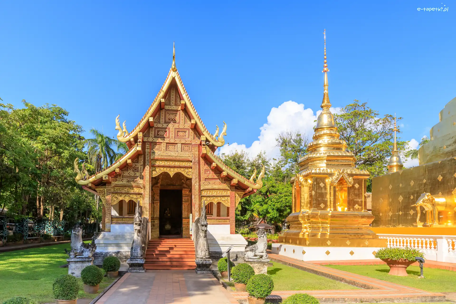 Tajlandia, Pagoda, Drzewa, Wat Phra Singh Woramahawihan, Świątynia, Chiang Mai, Niebo