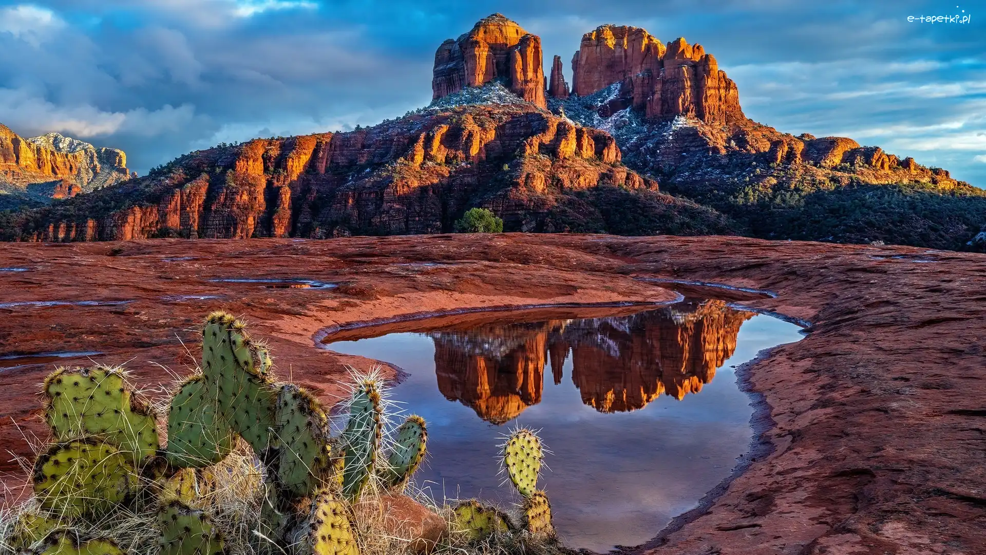Cathedral Rock, Kaktusy, Góra, Skały, Czerwone, Stany Zjednoczone, Arizona, Kałuża, Sedona